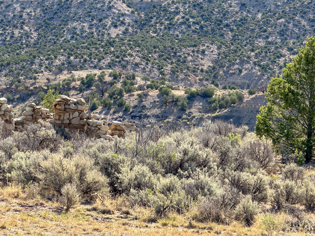 Photo 13 —  US Hwy 550