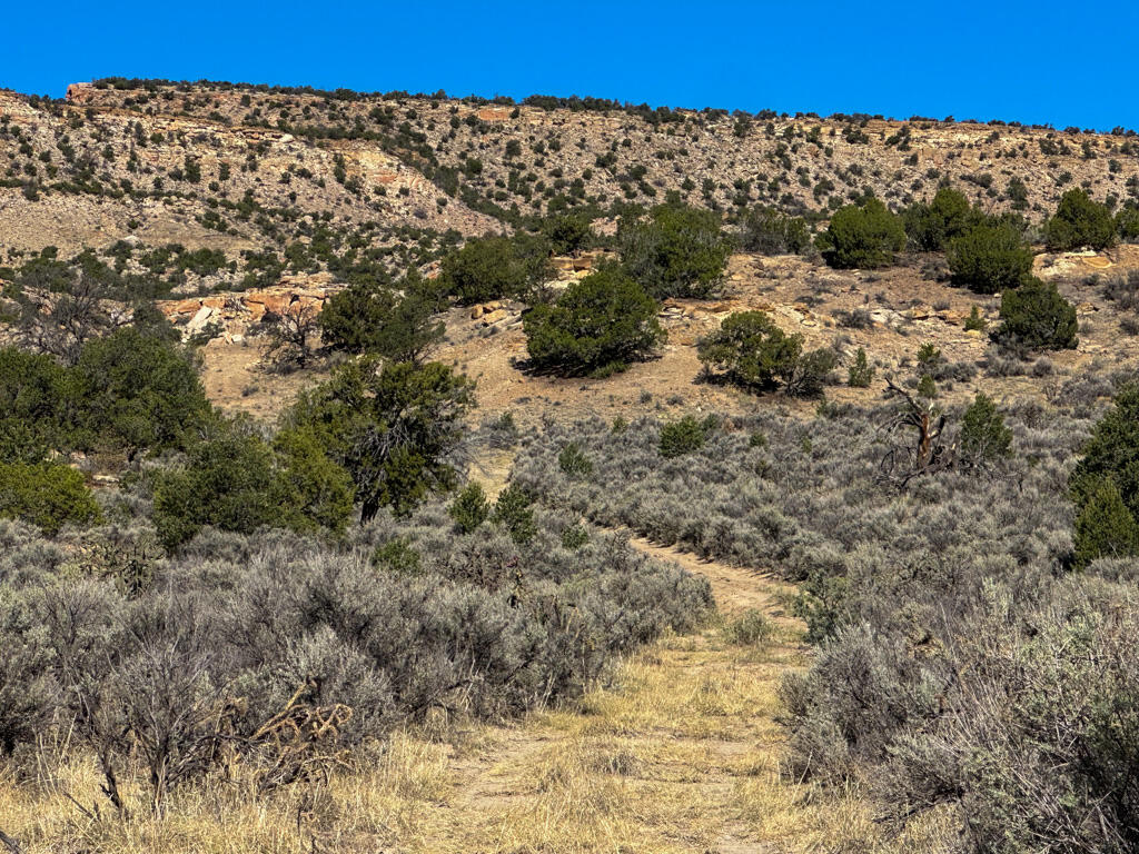 Photo 14 —  US Hwy 550