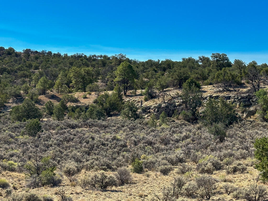 Photo 16 —  US Hwy 550