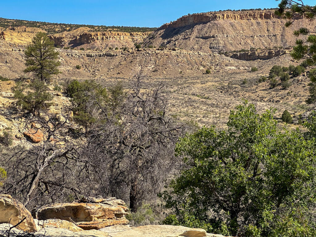 Photo 17 —  US Hwy 550
