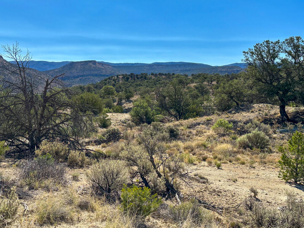 Photo 18 —  US Hwy 550