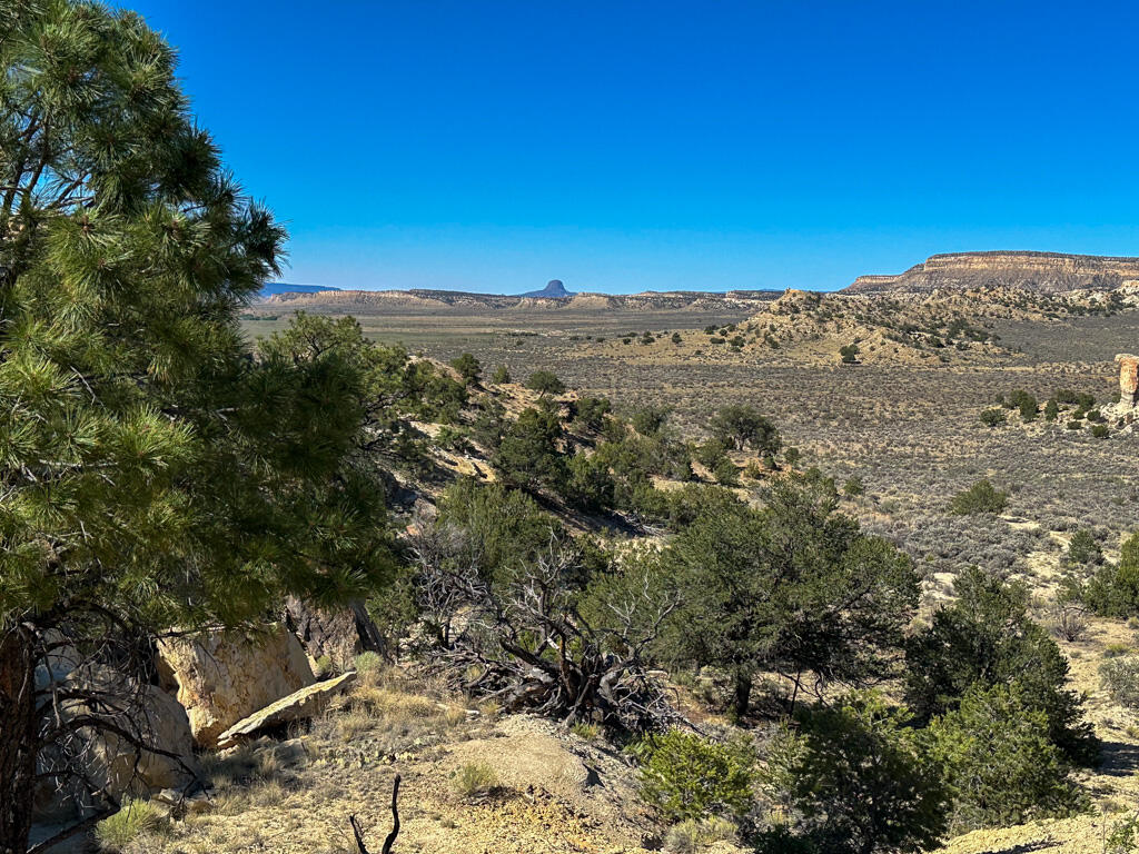Photo 19 —  US Hwy 550