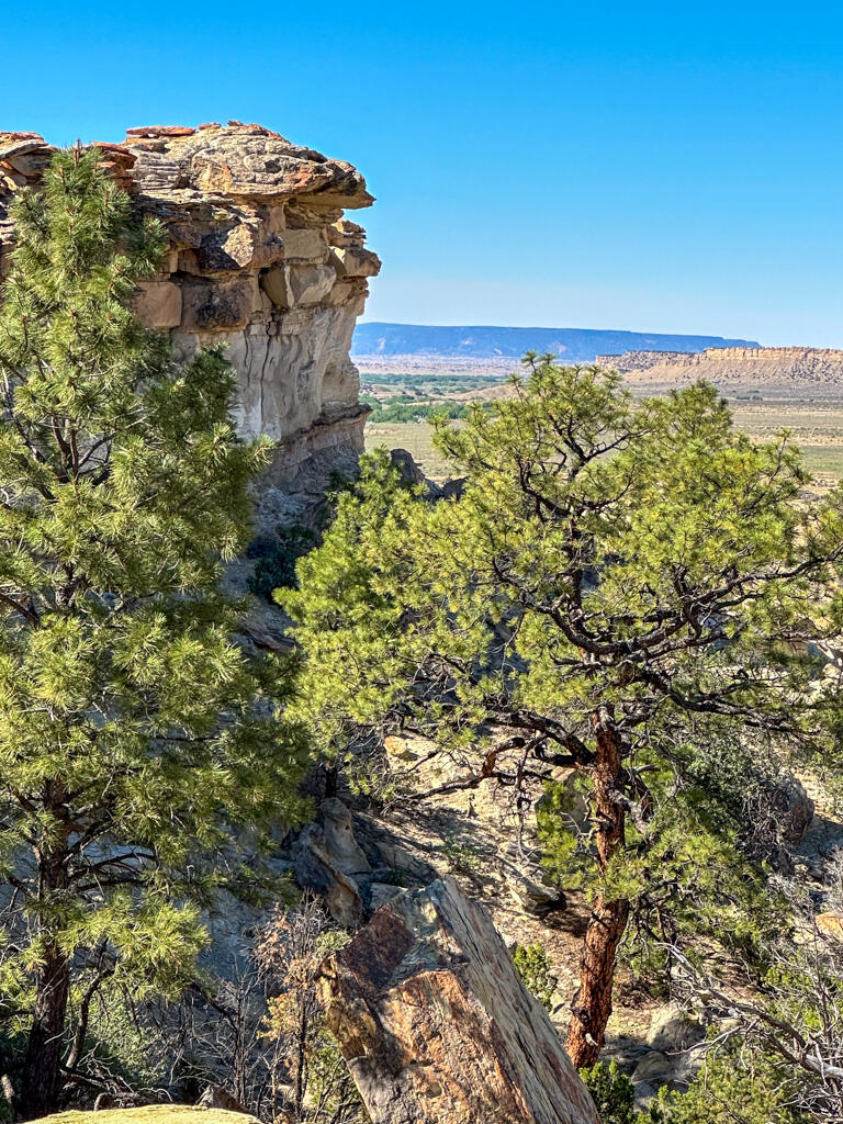 Photo 20 —  US Hwy 550