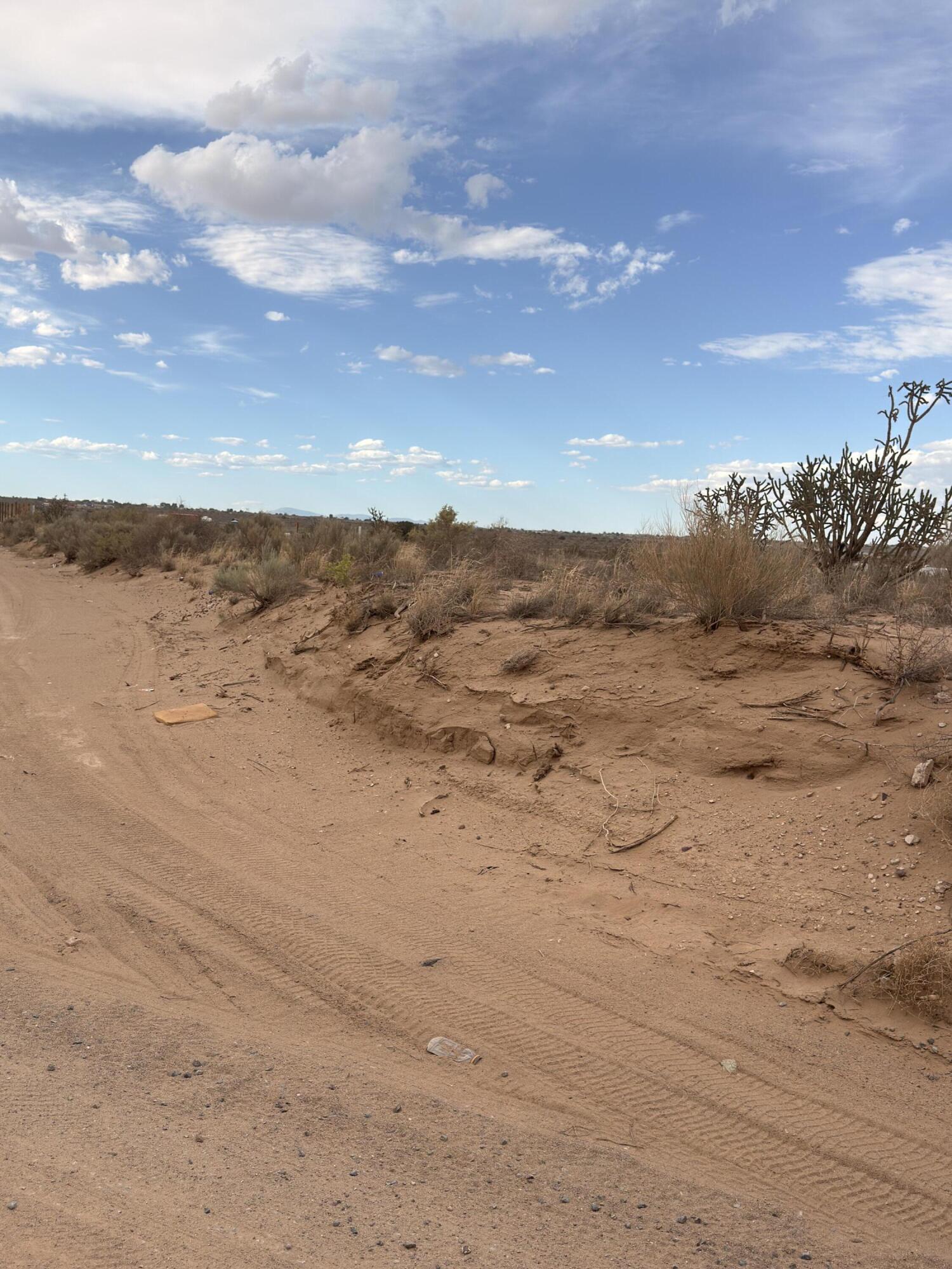 Photo 4 — 1105 Goya Road SW