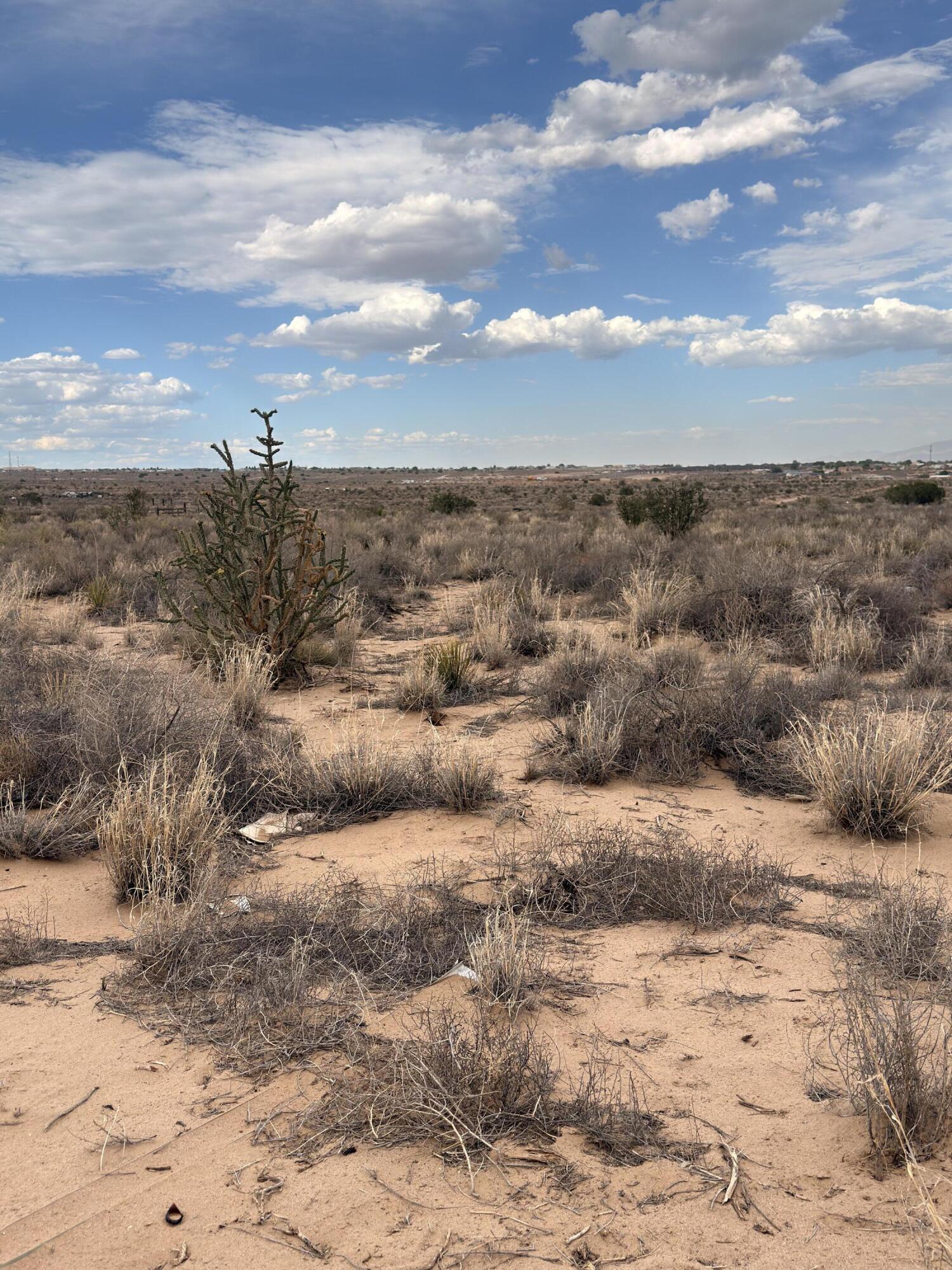 Photo 9 — 1105 Goya Road SW
