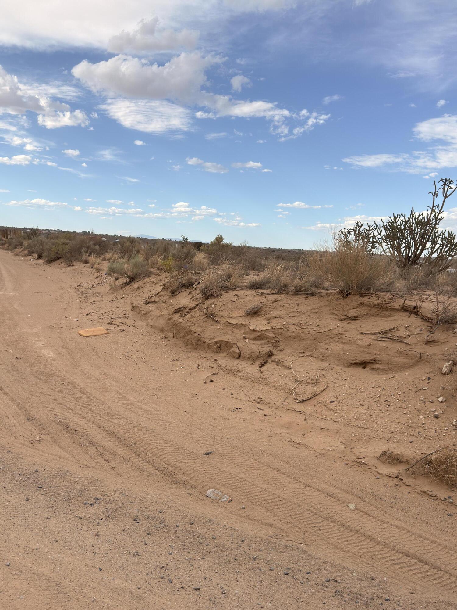 Photo 12 — 1105 Goya Road SW