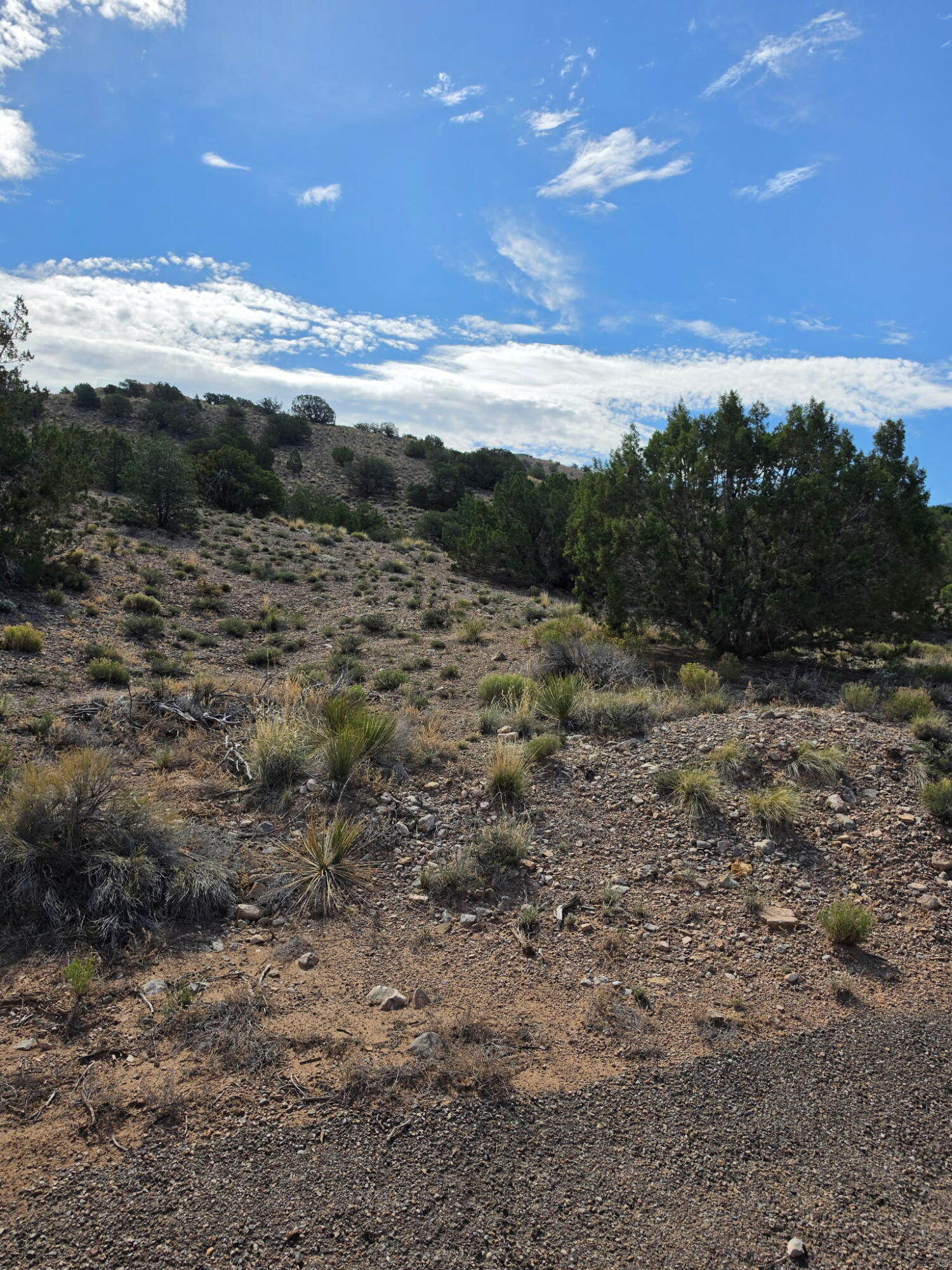 Photo 13 —  Yucca (Lot 105) Lane