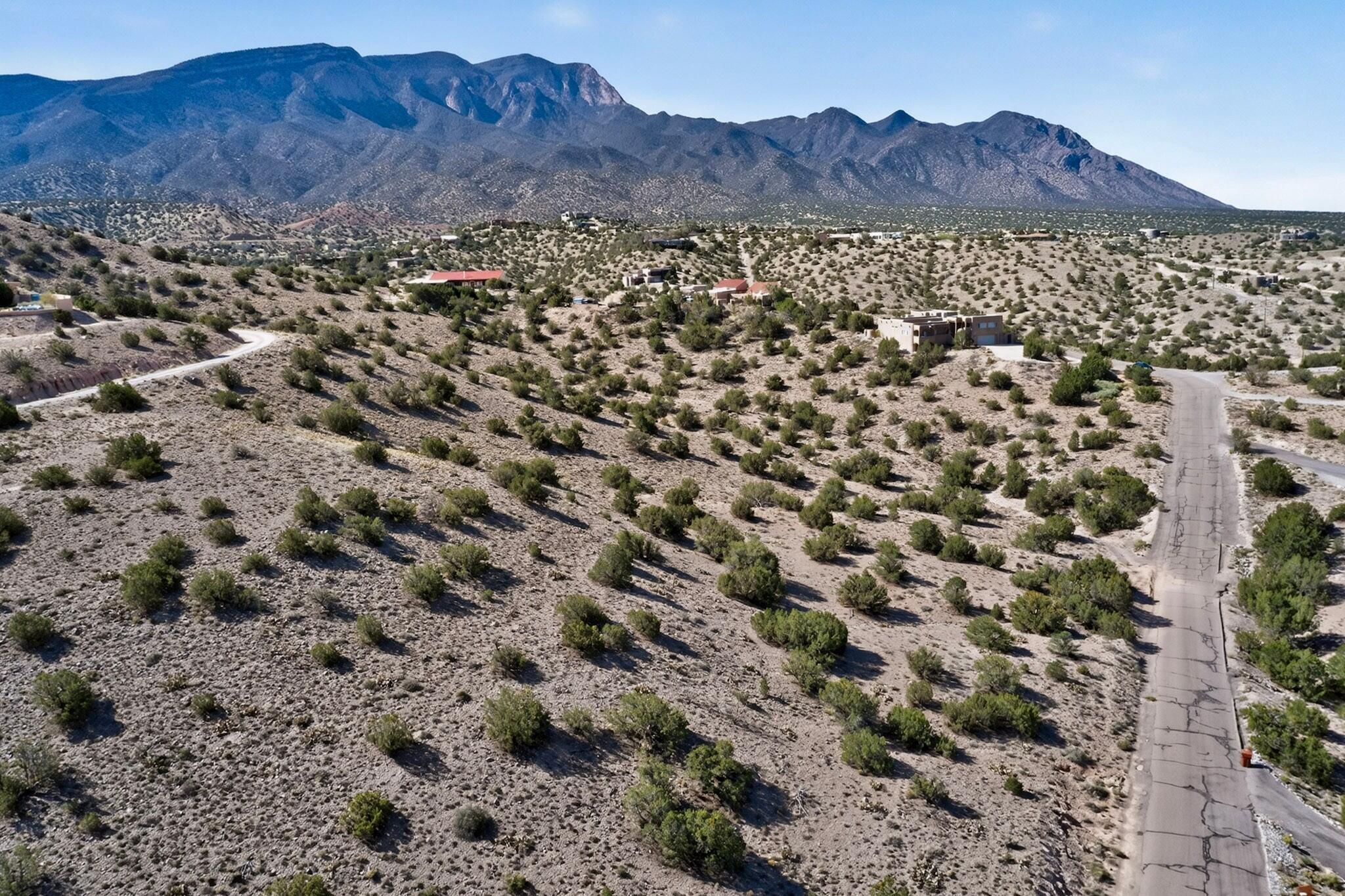 Photo 3 —  Yucca (Lot 105) Lane
