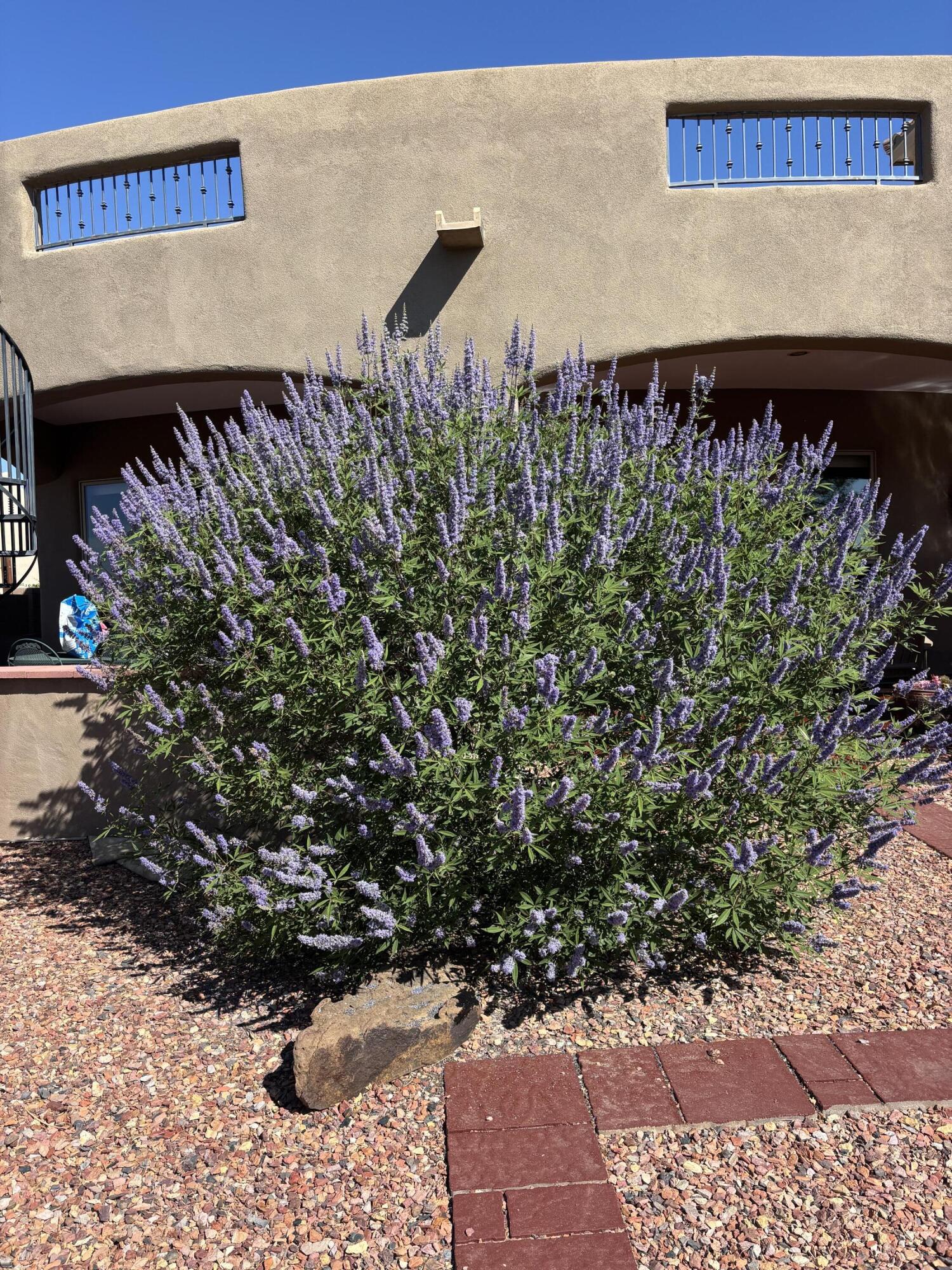 Photo 2 — 1916 Sonora Road NE