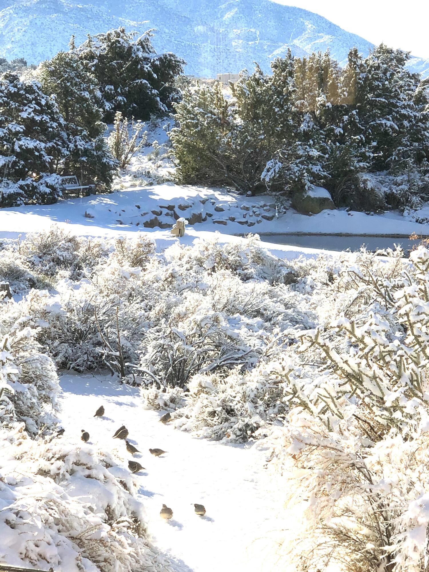 Photo 8 — 72 Pinon Hill Place NE