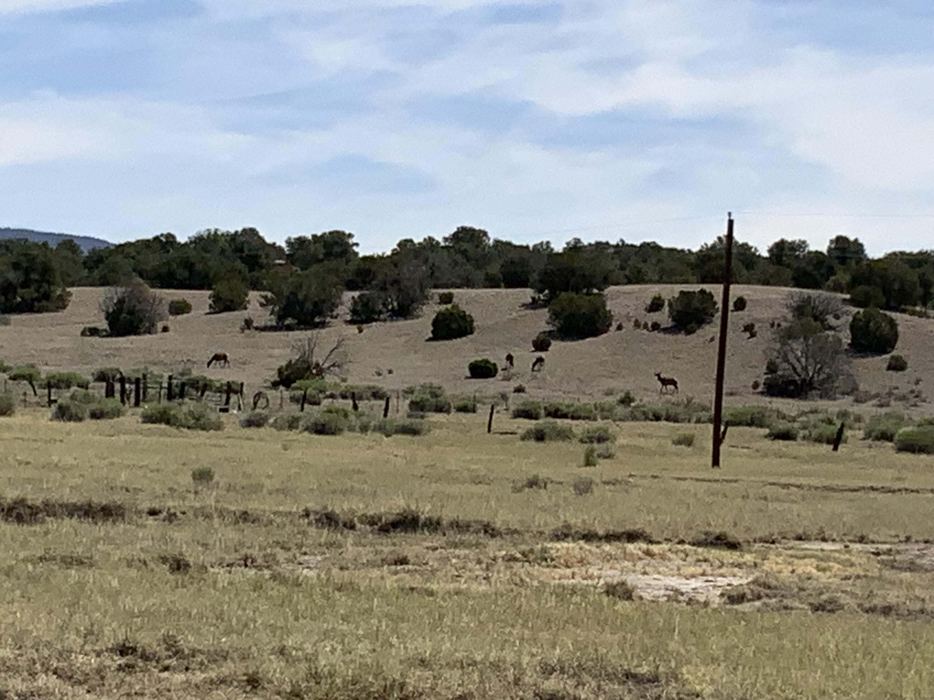 Photo 8 —  No Situs Address