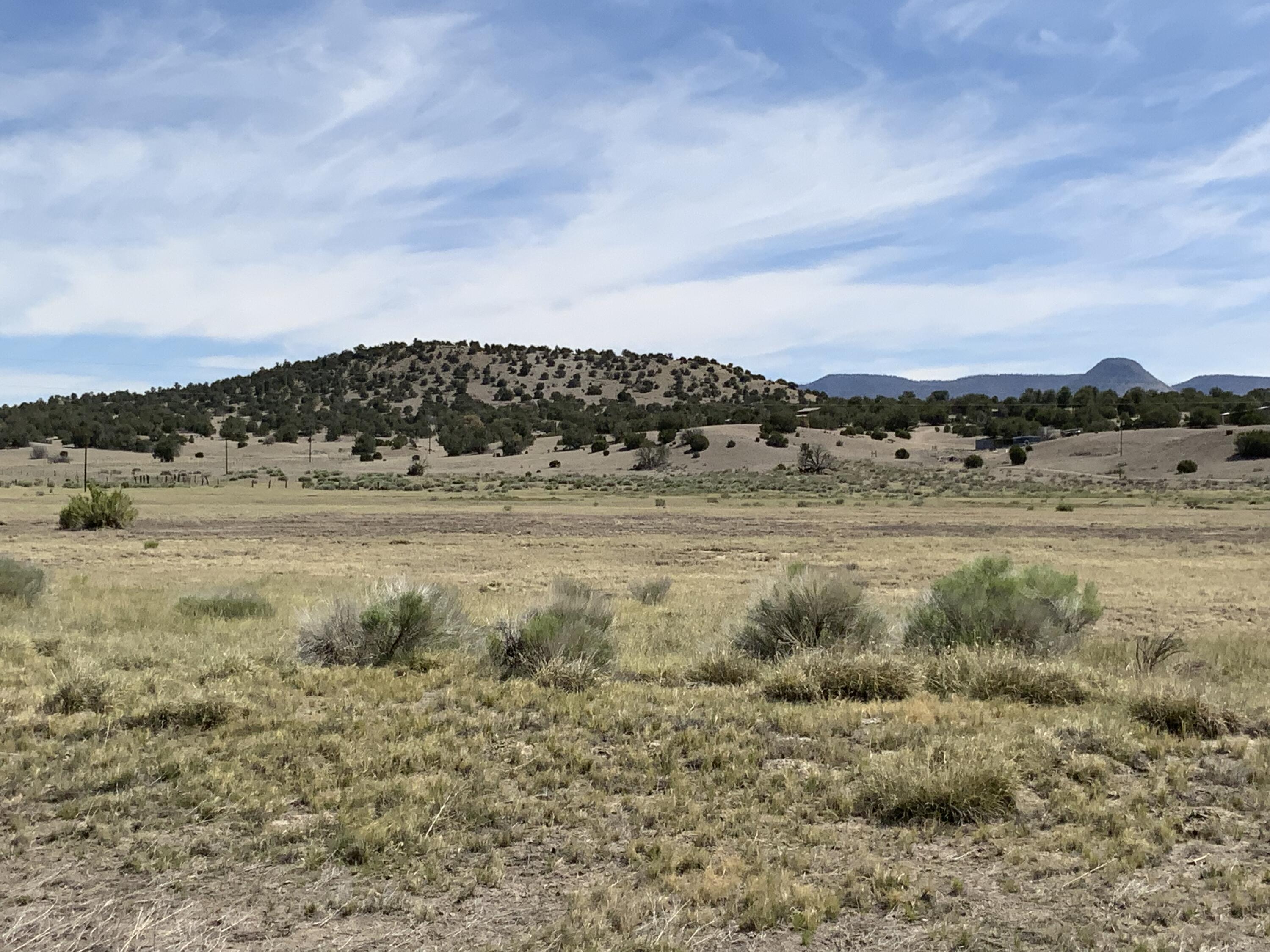 Photo 10 —  No Situs Address