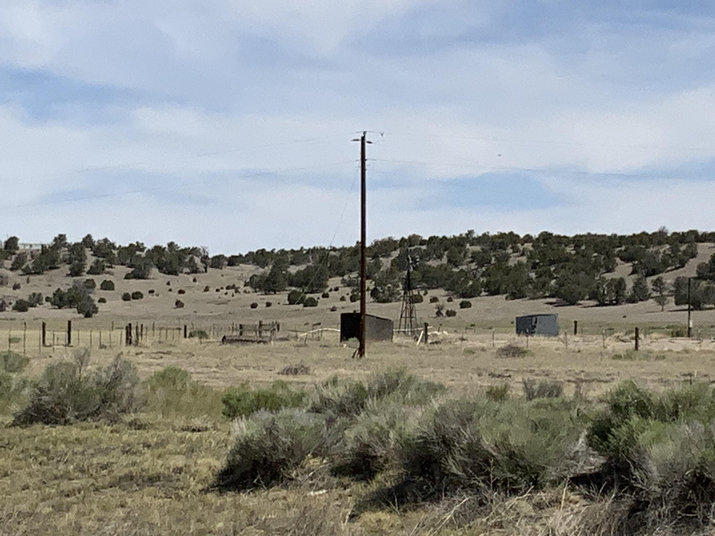 Photo 11 —  No Situs Address