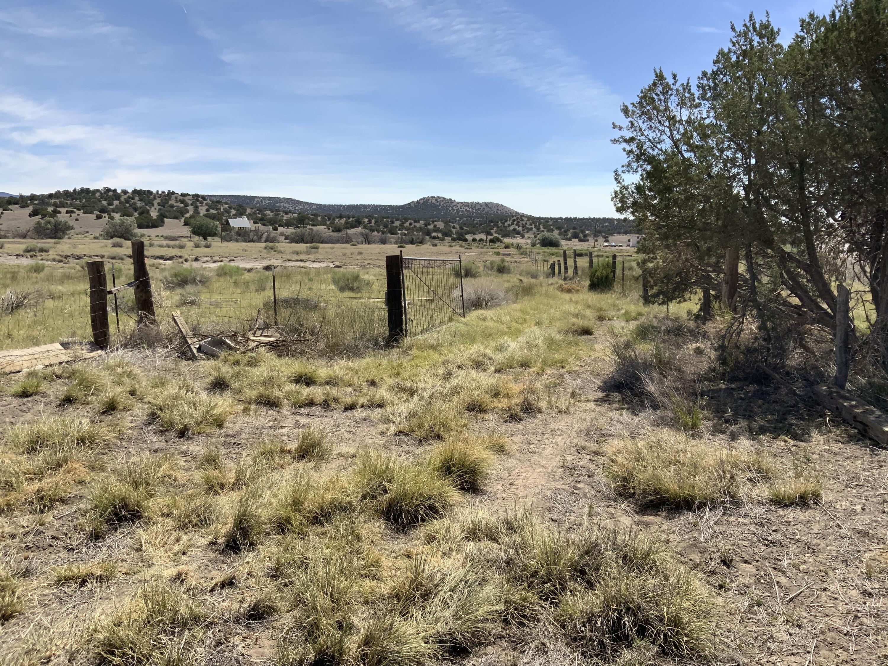 Photo 12 —  No Situs Address