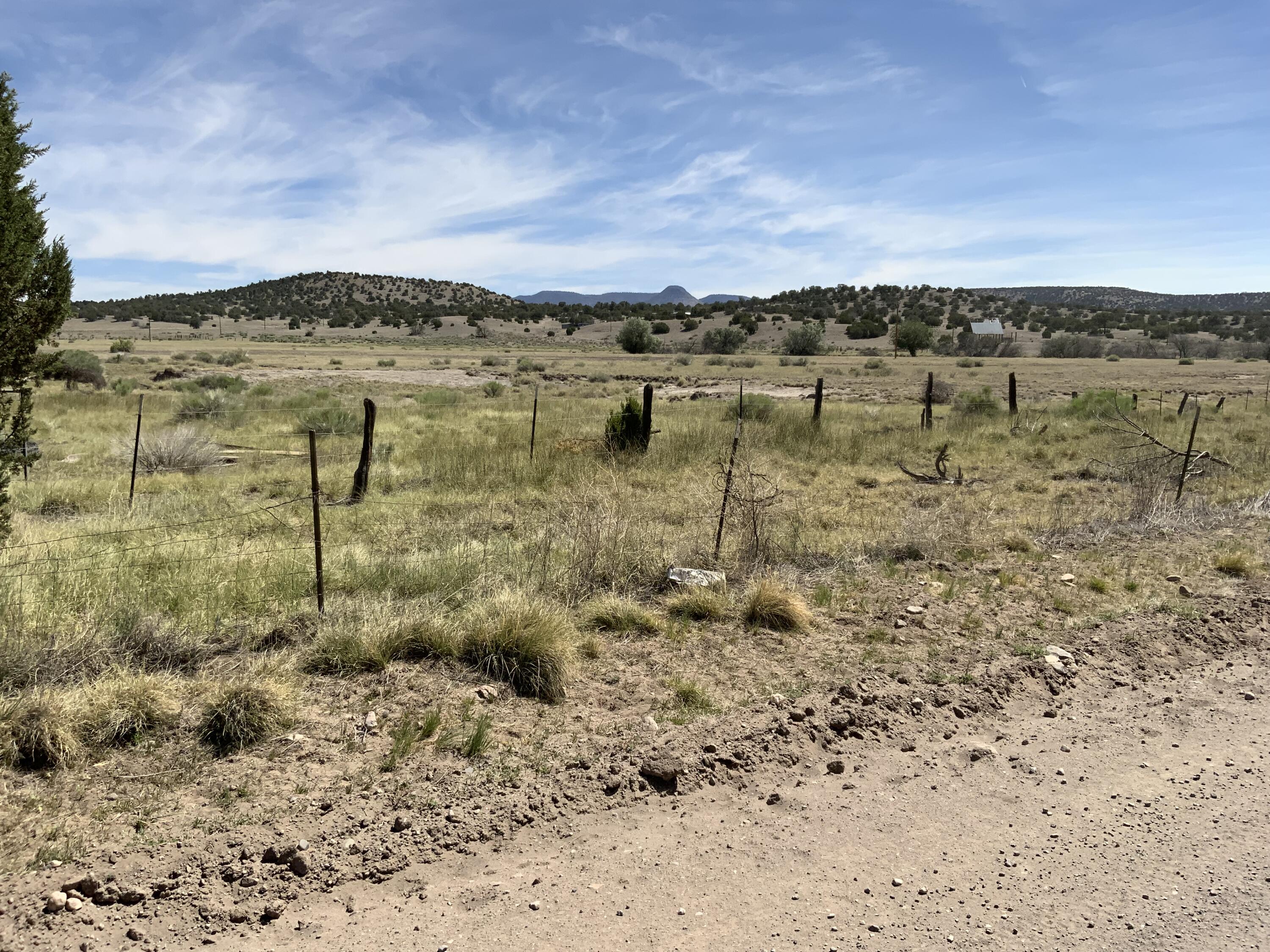 Photo 13 —  No Situs Address