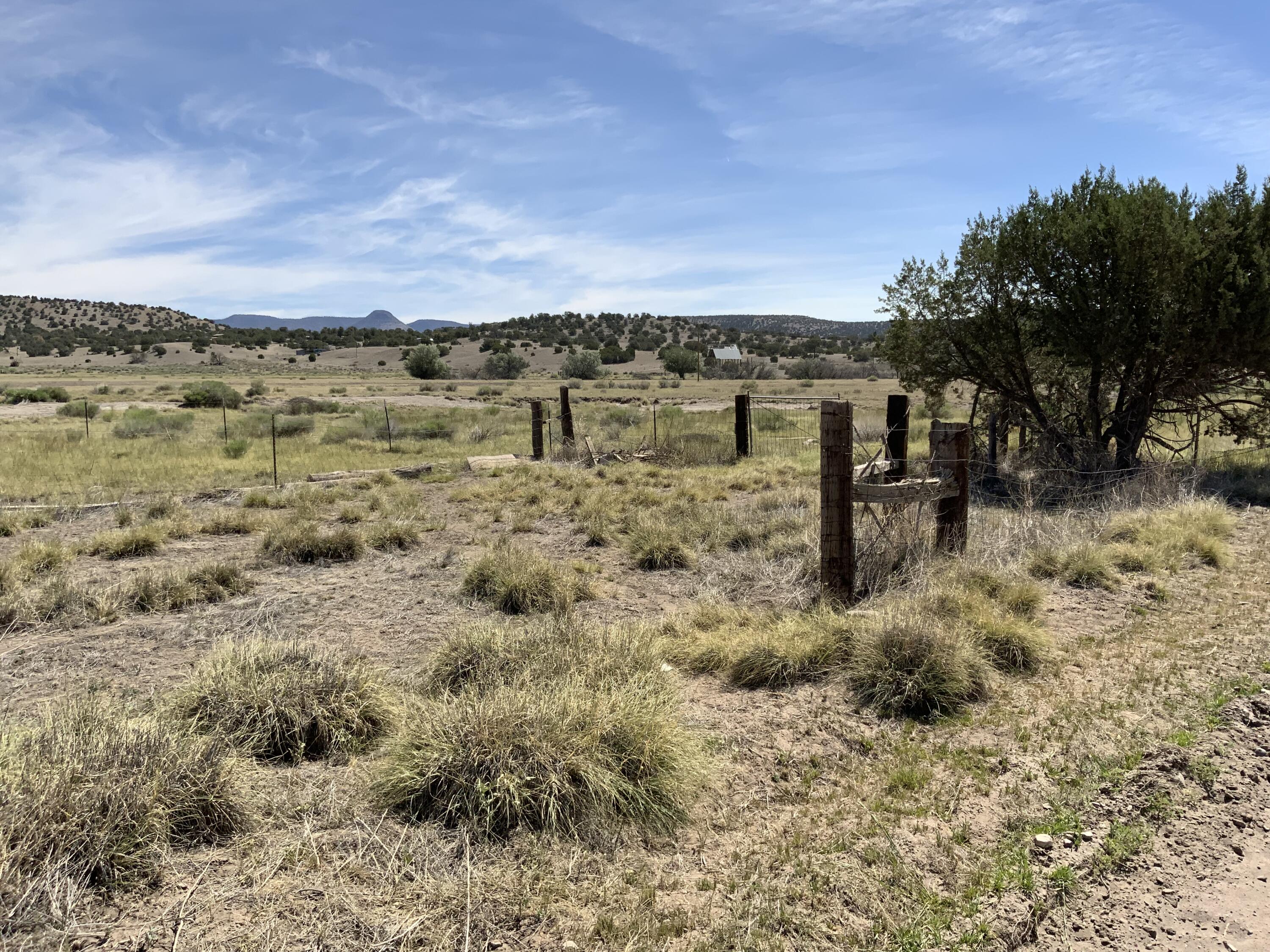 Photo 5 —  No Situs Address