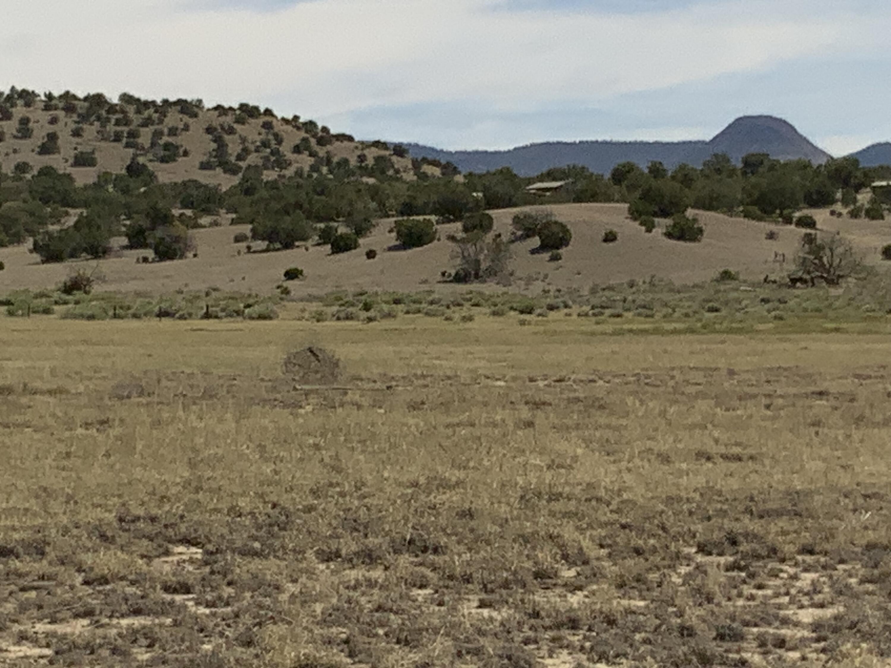 Photo 6 —  No Situs Address