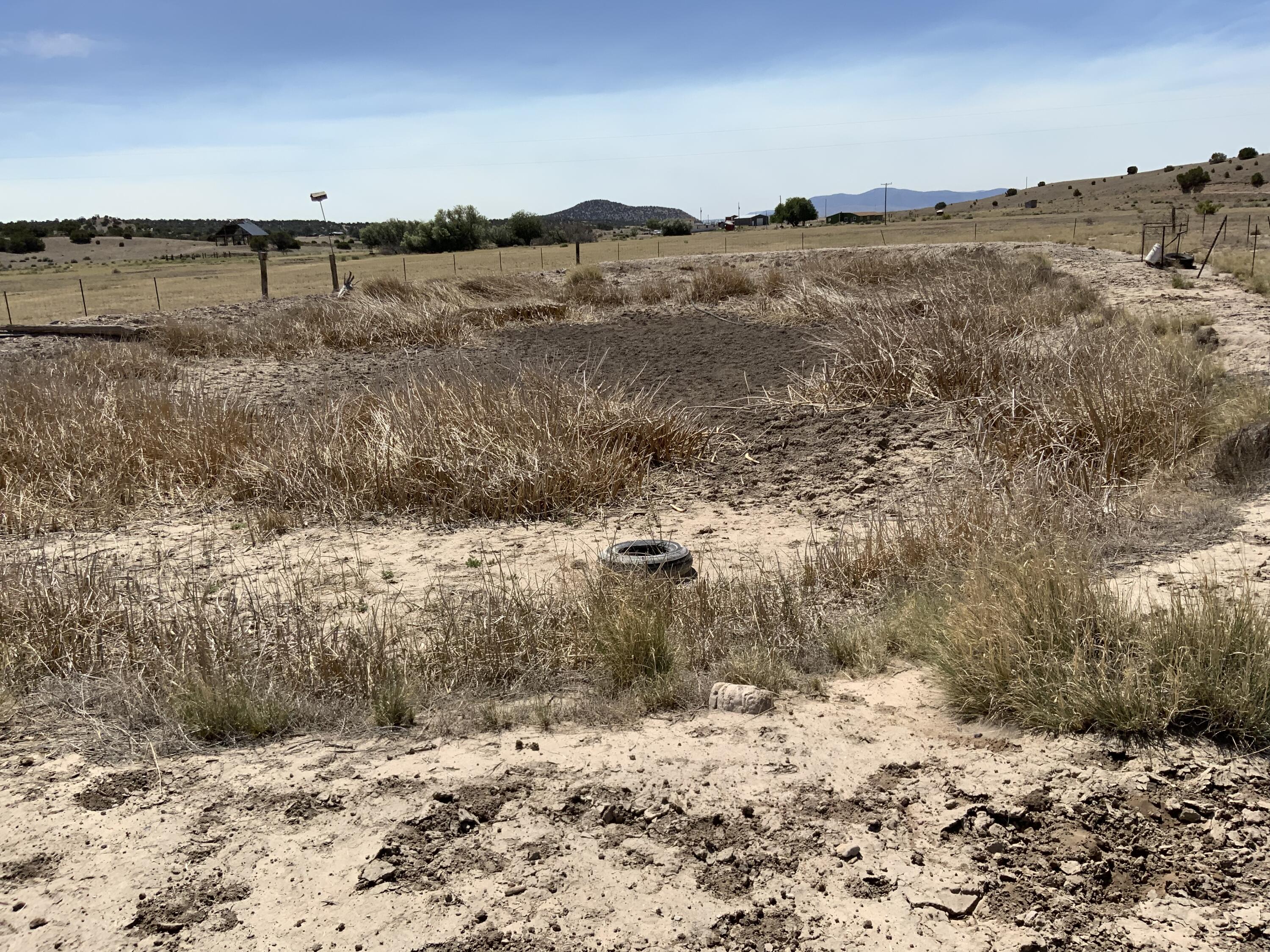 Photo 7 —  No Situs Address