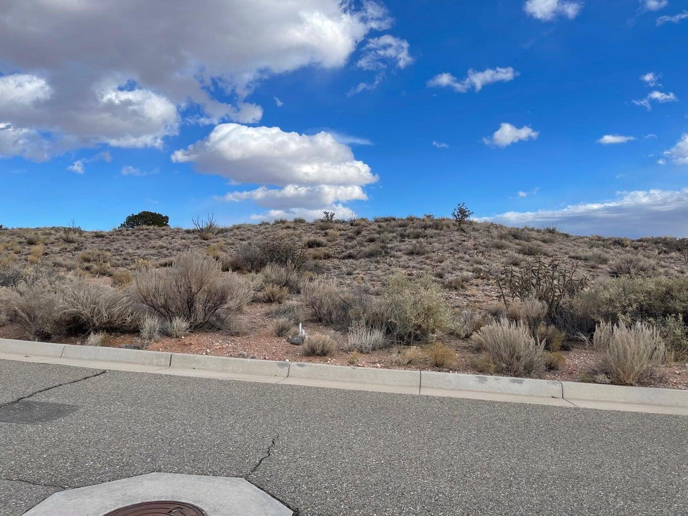Photo 5 — 1712 Meadows Point Pl NE
