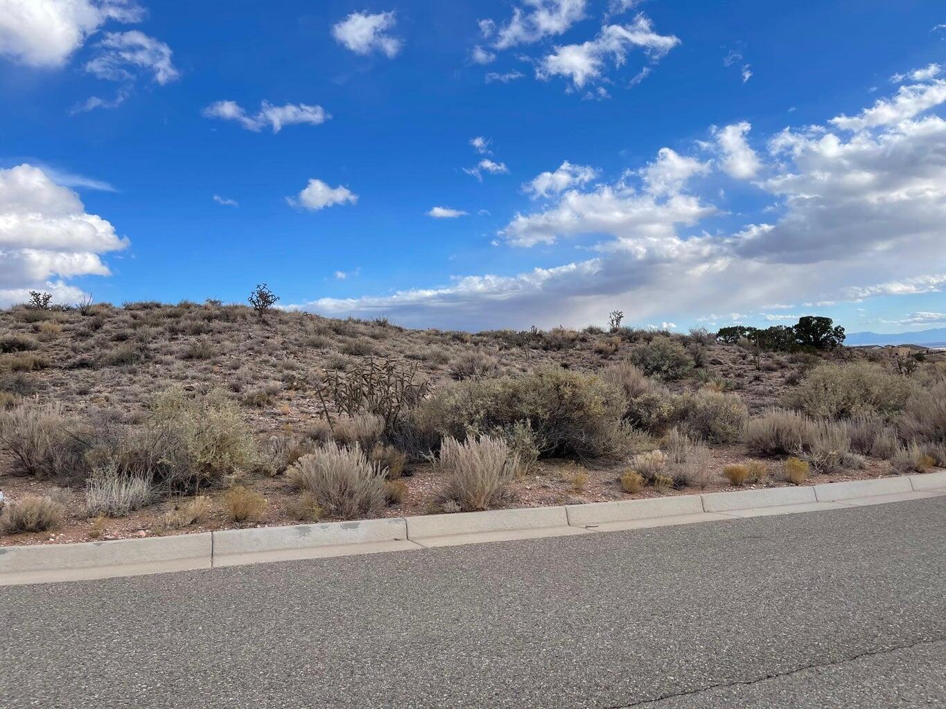 Photo 4 — 1712 Meadows Point Pl NE