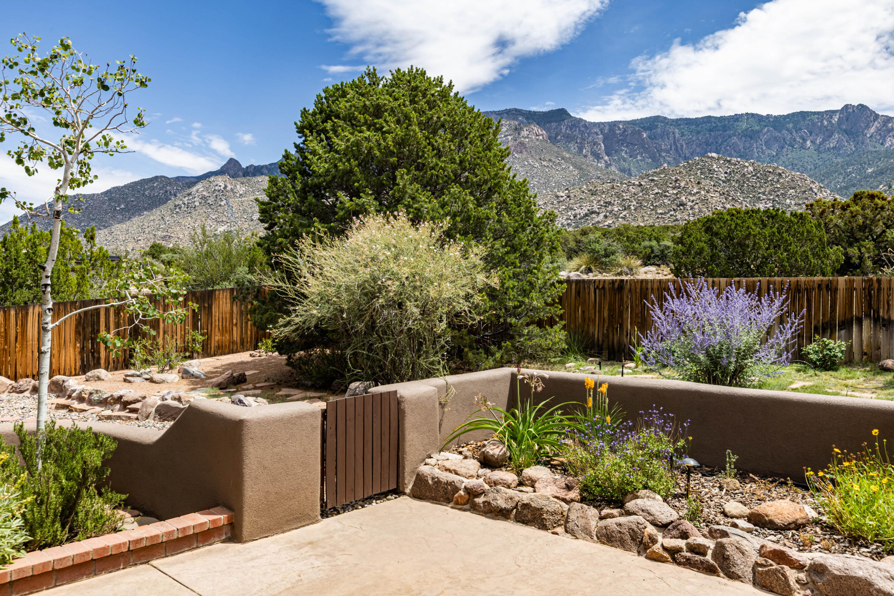 Photo 6 — 315 Big Horn Ridge Drive NE