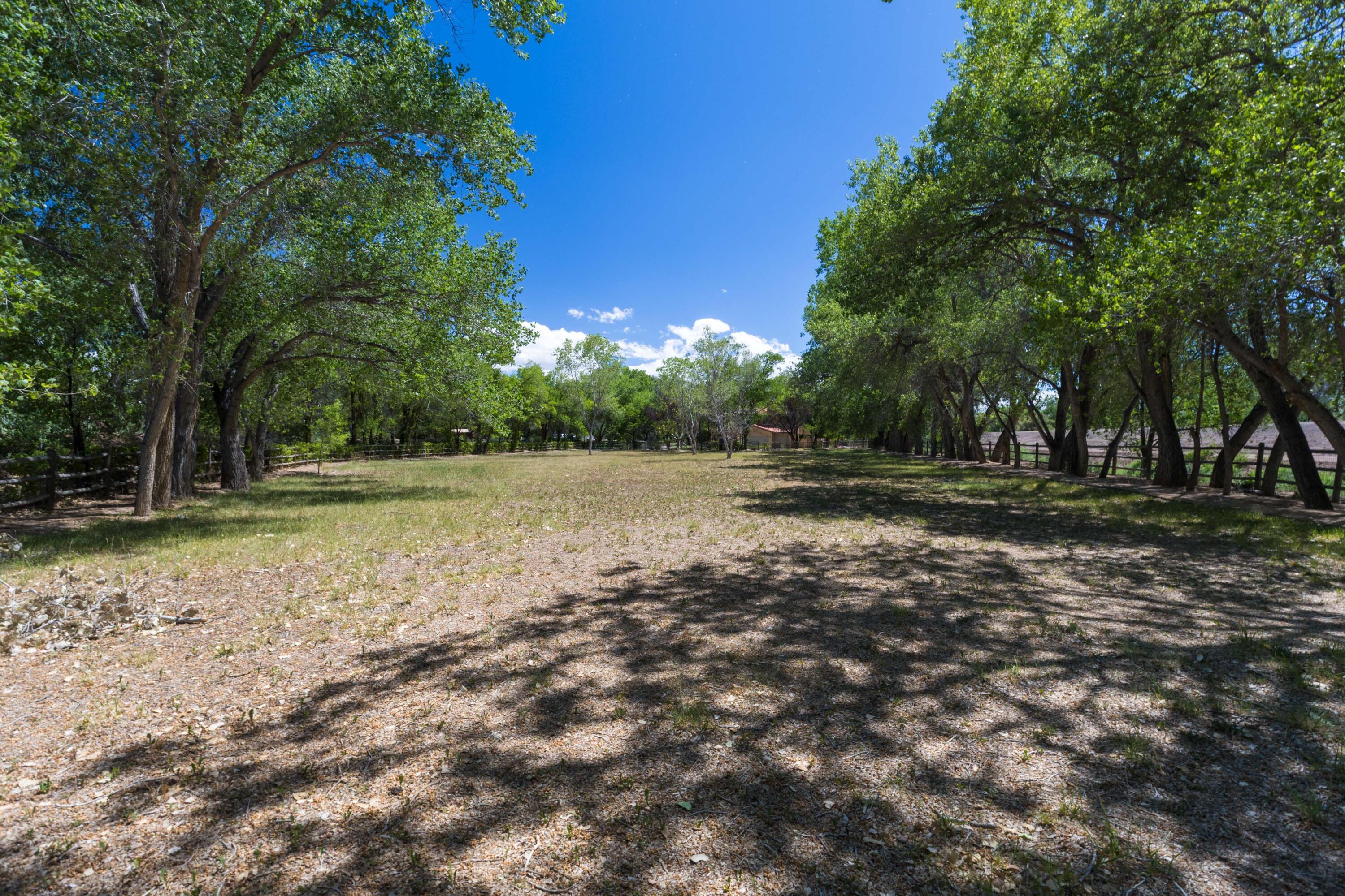 Photo 19 — 7437 Rio Grande Boulevard NW