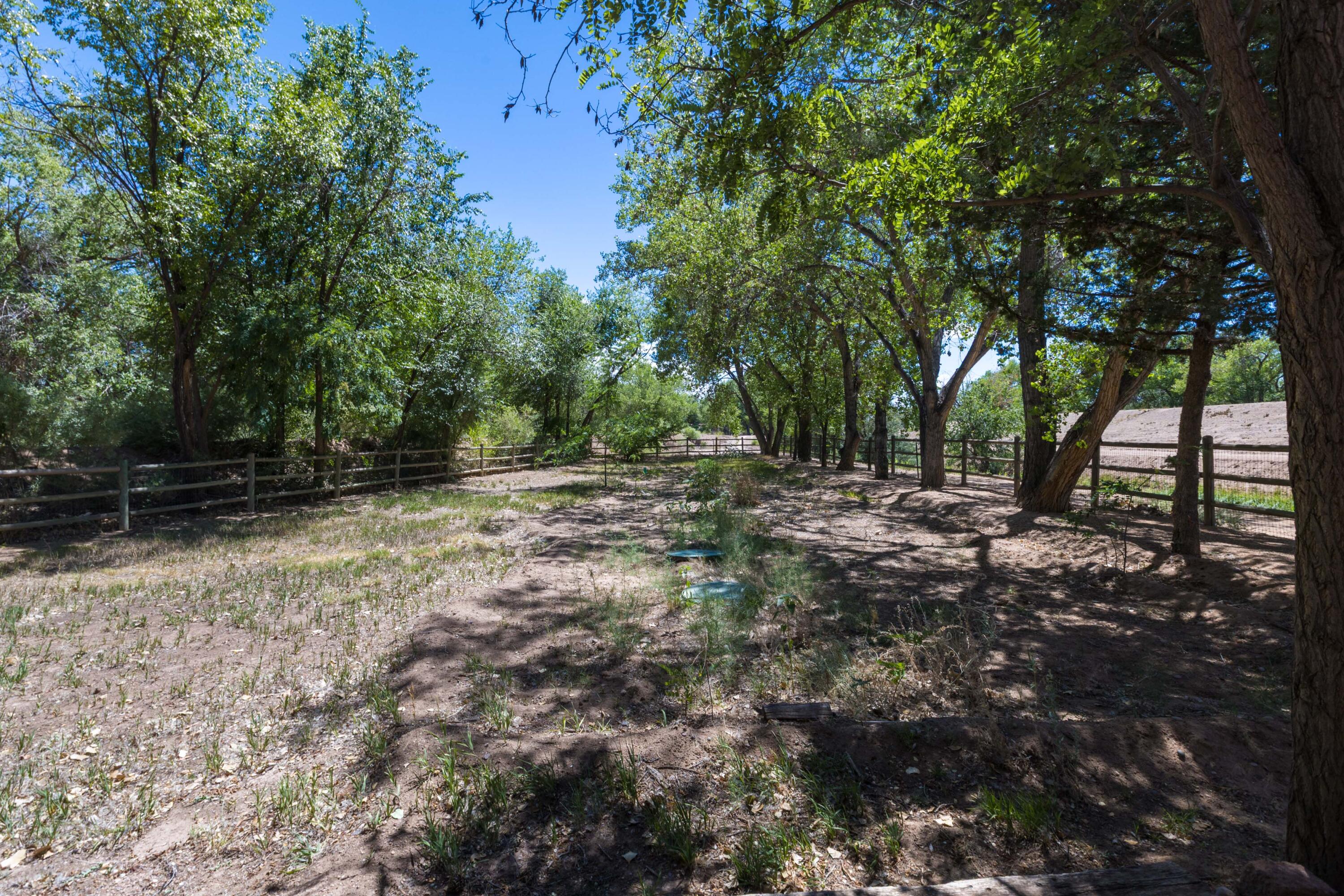 Photo 18 — 7437 Rio Grande Boulevard NW