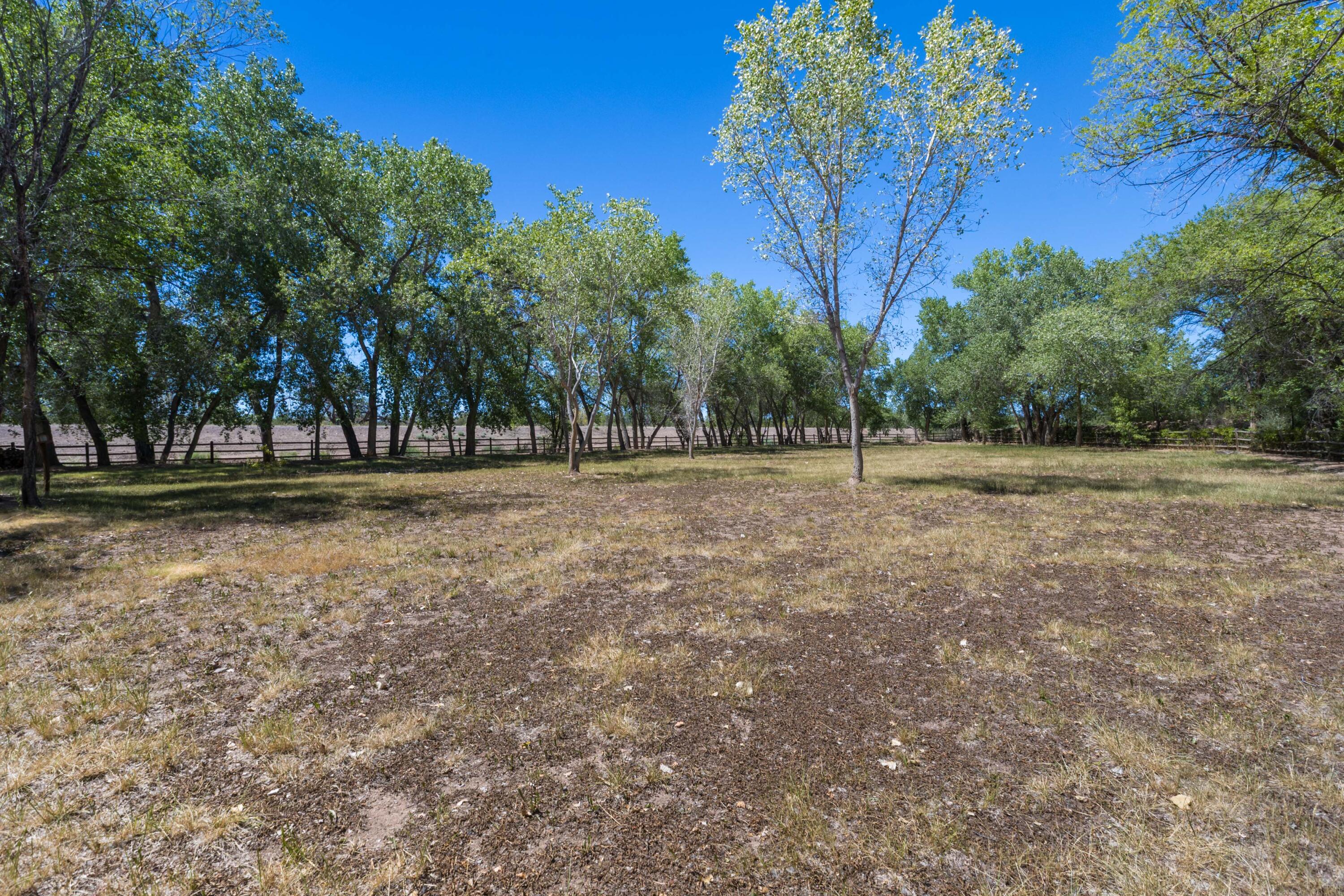 Photo 16 — 7437 Rio Grande Boulevard NW