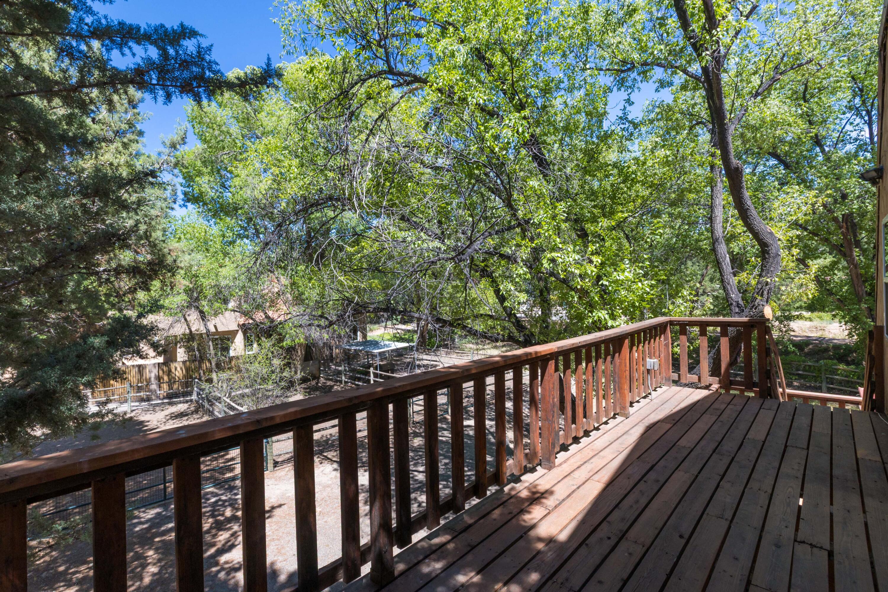 Photo 14 — 7437 Rio Grande Boulevard NW