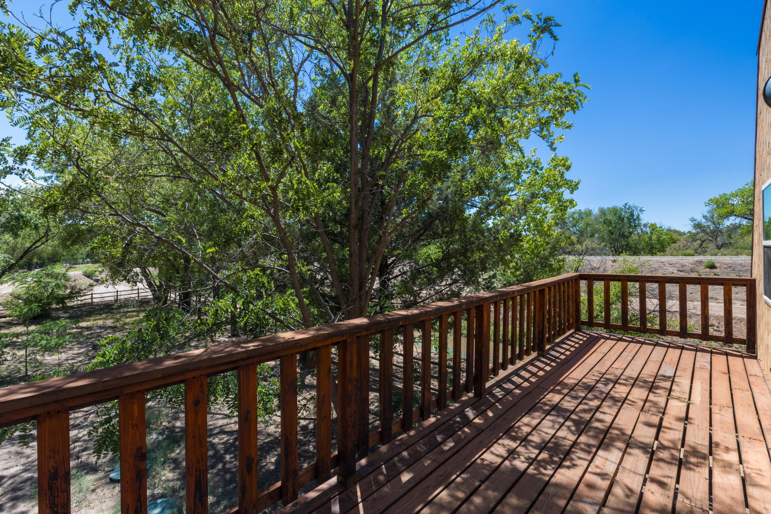 Photo 7 — 7437 Rio Grande Boulevard NW