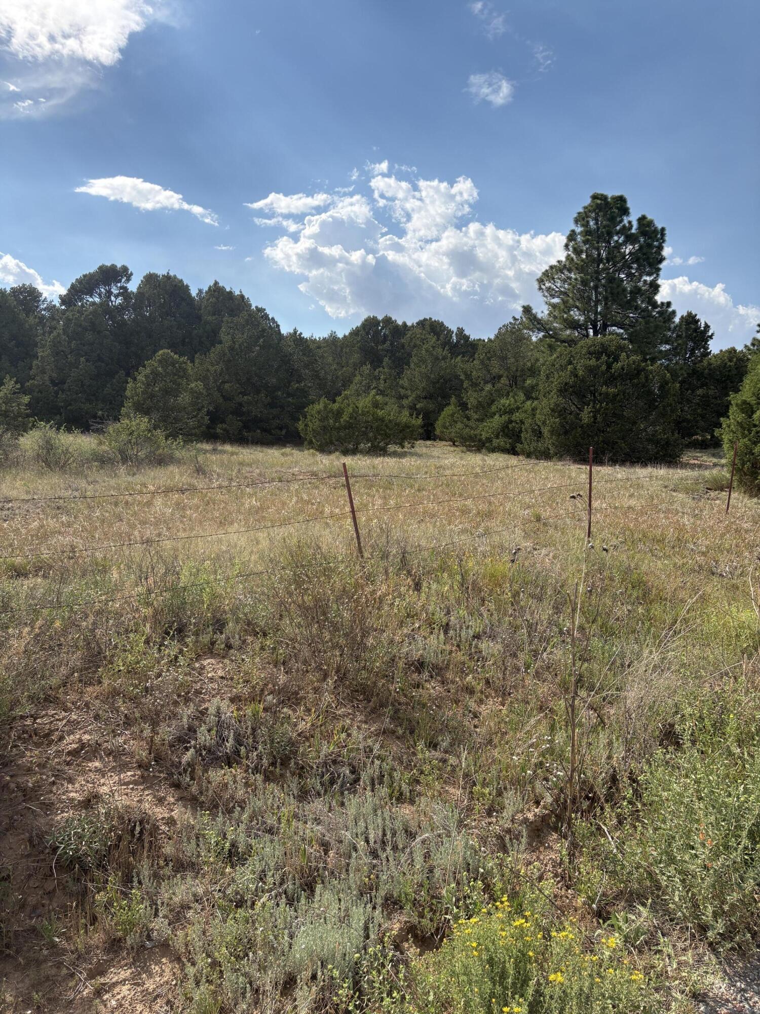 Photo 2 — 11 Eagle Lane