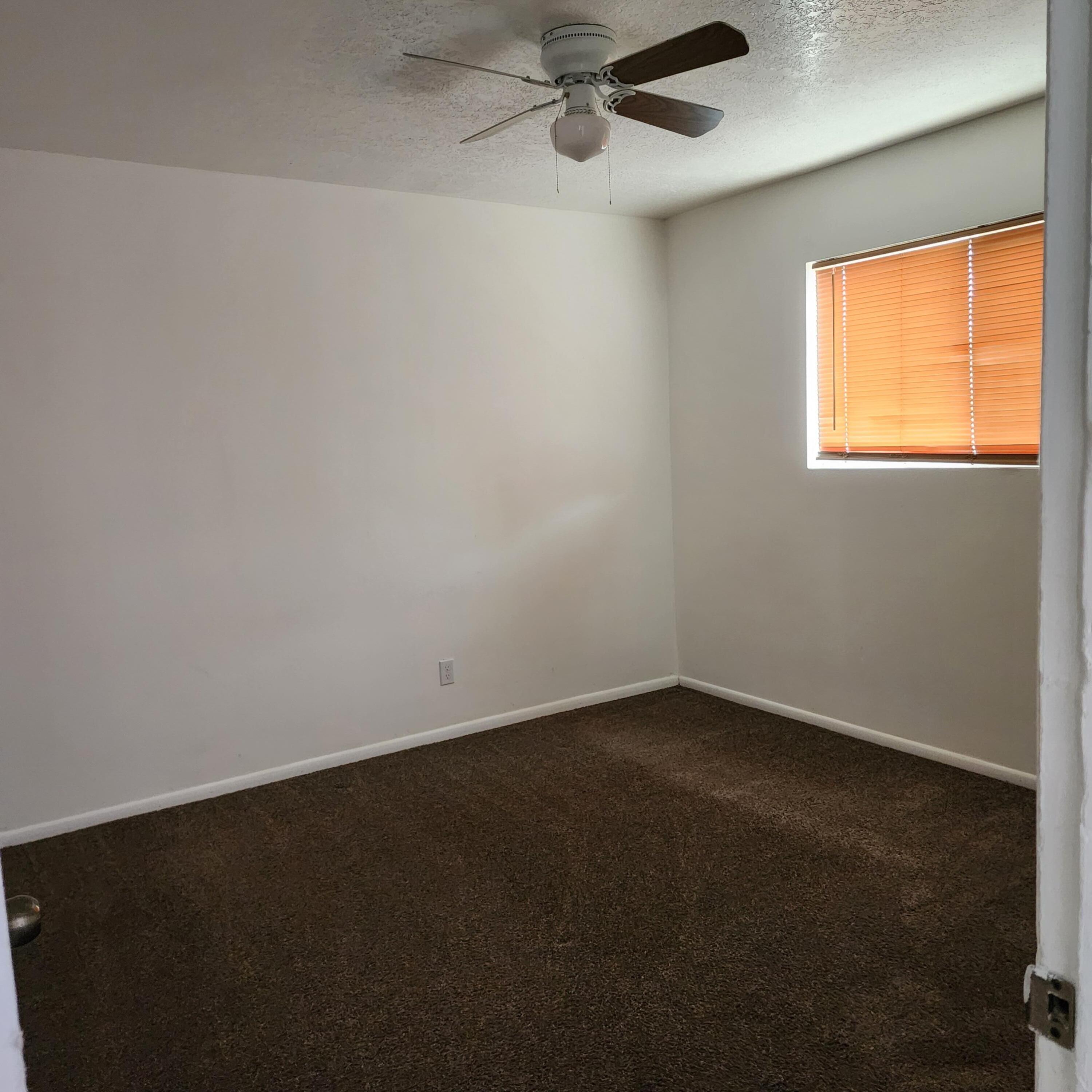 Photo 5 — 325 Tennessee Street NE