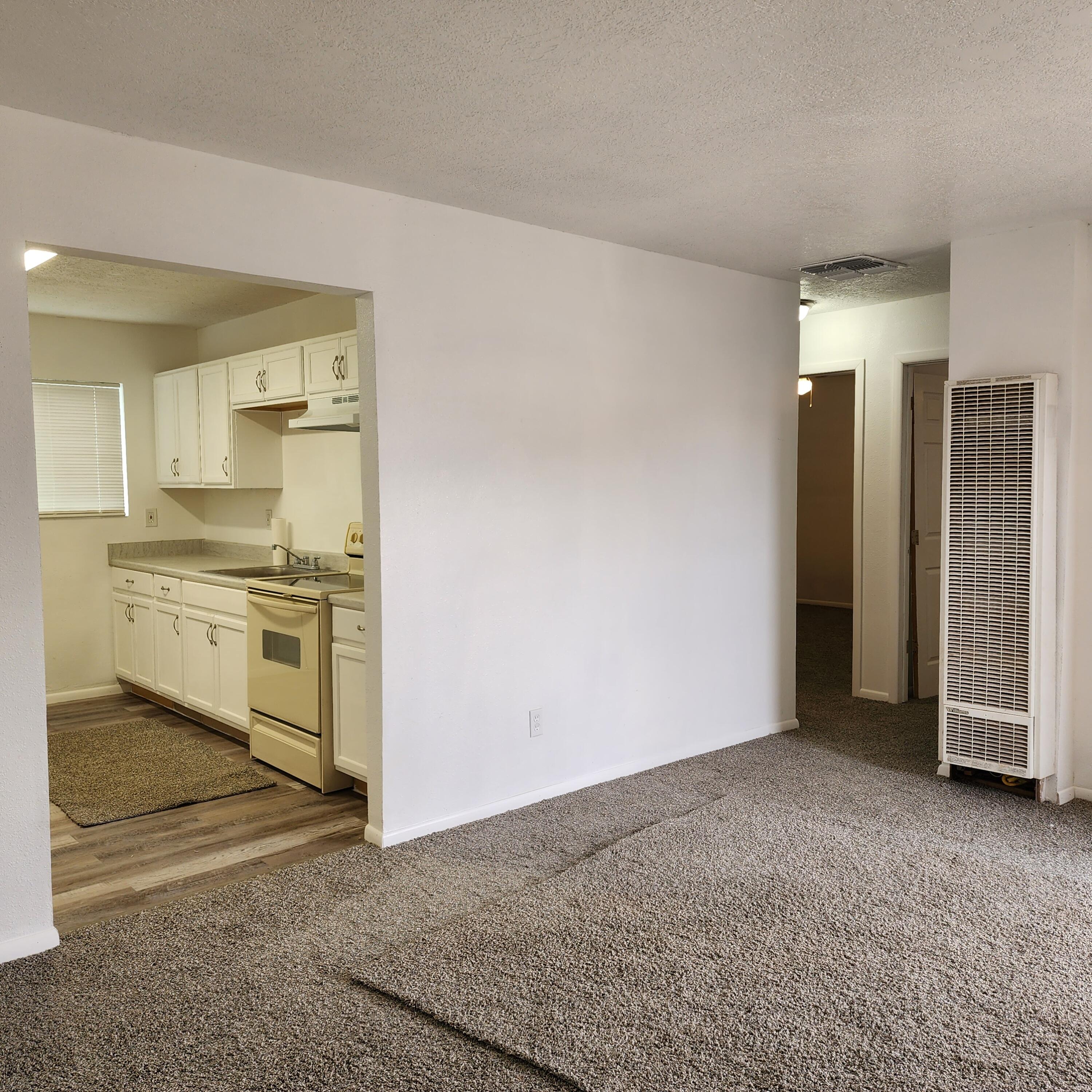 Photo 10 — 325 Tennessee Street NE