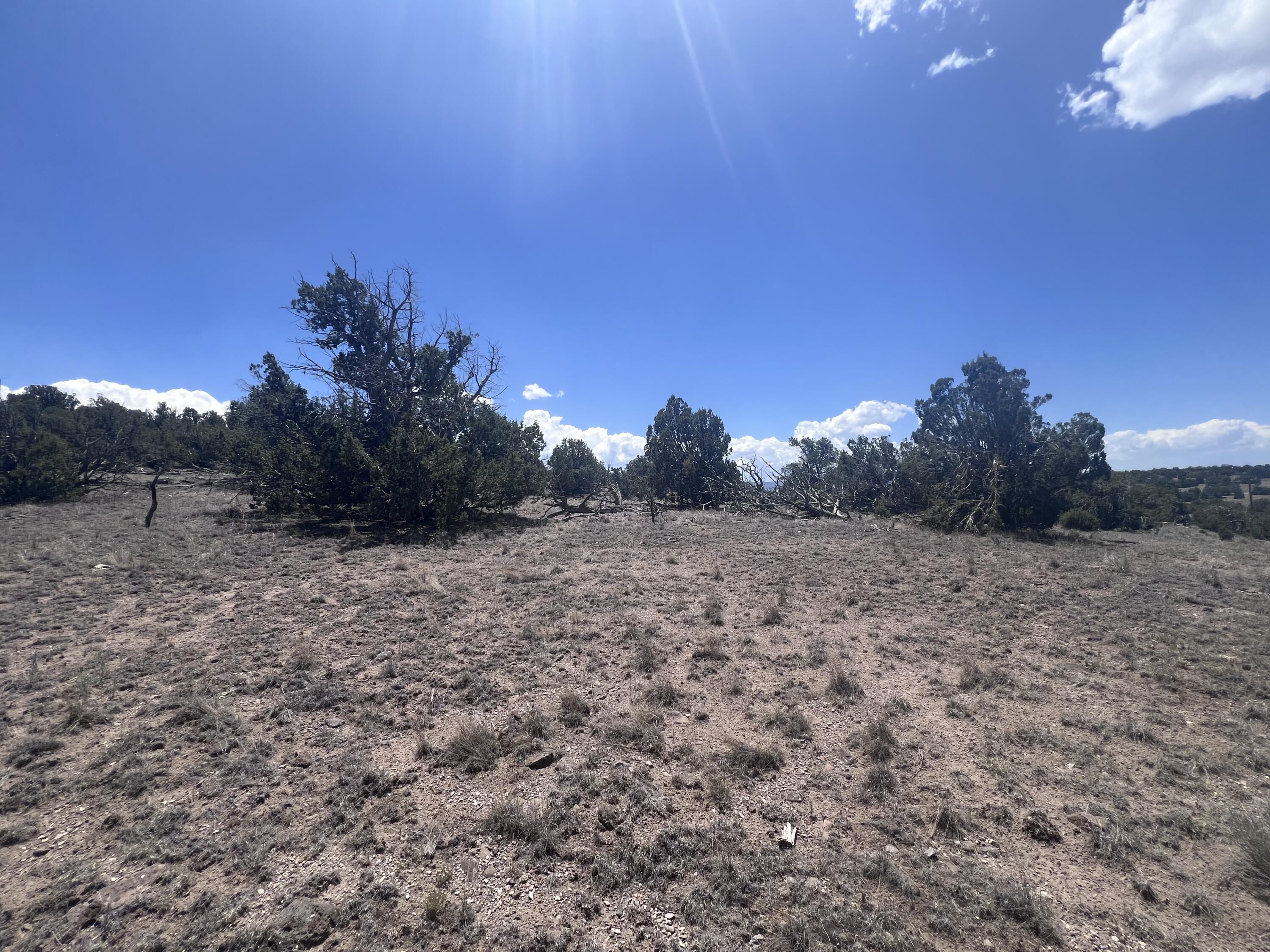 Photo 2 —  OMEGA Road LOT 24