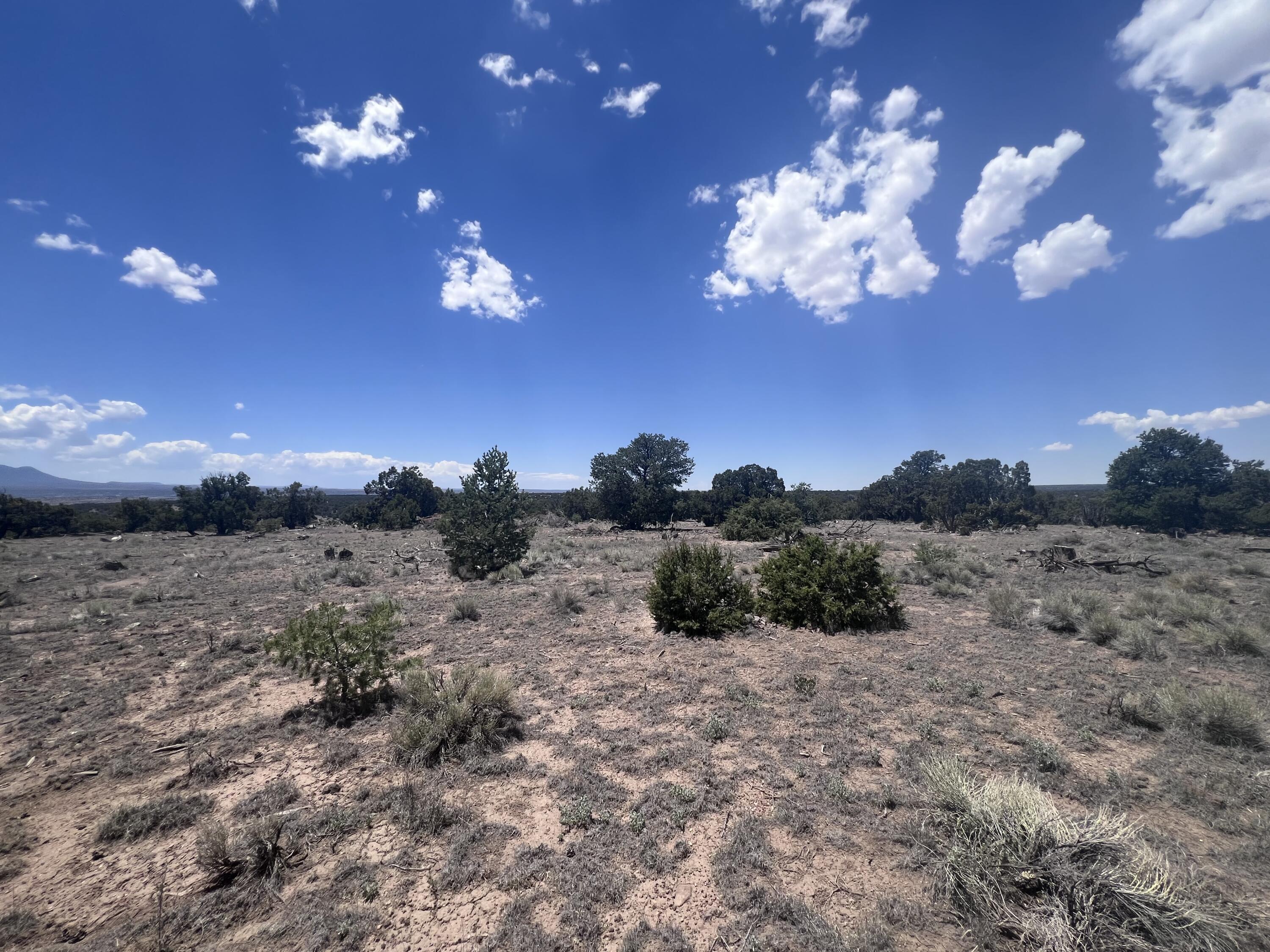 Photo 4 —  OMEGA Road LOT 24