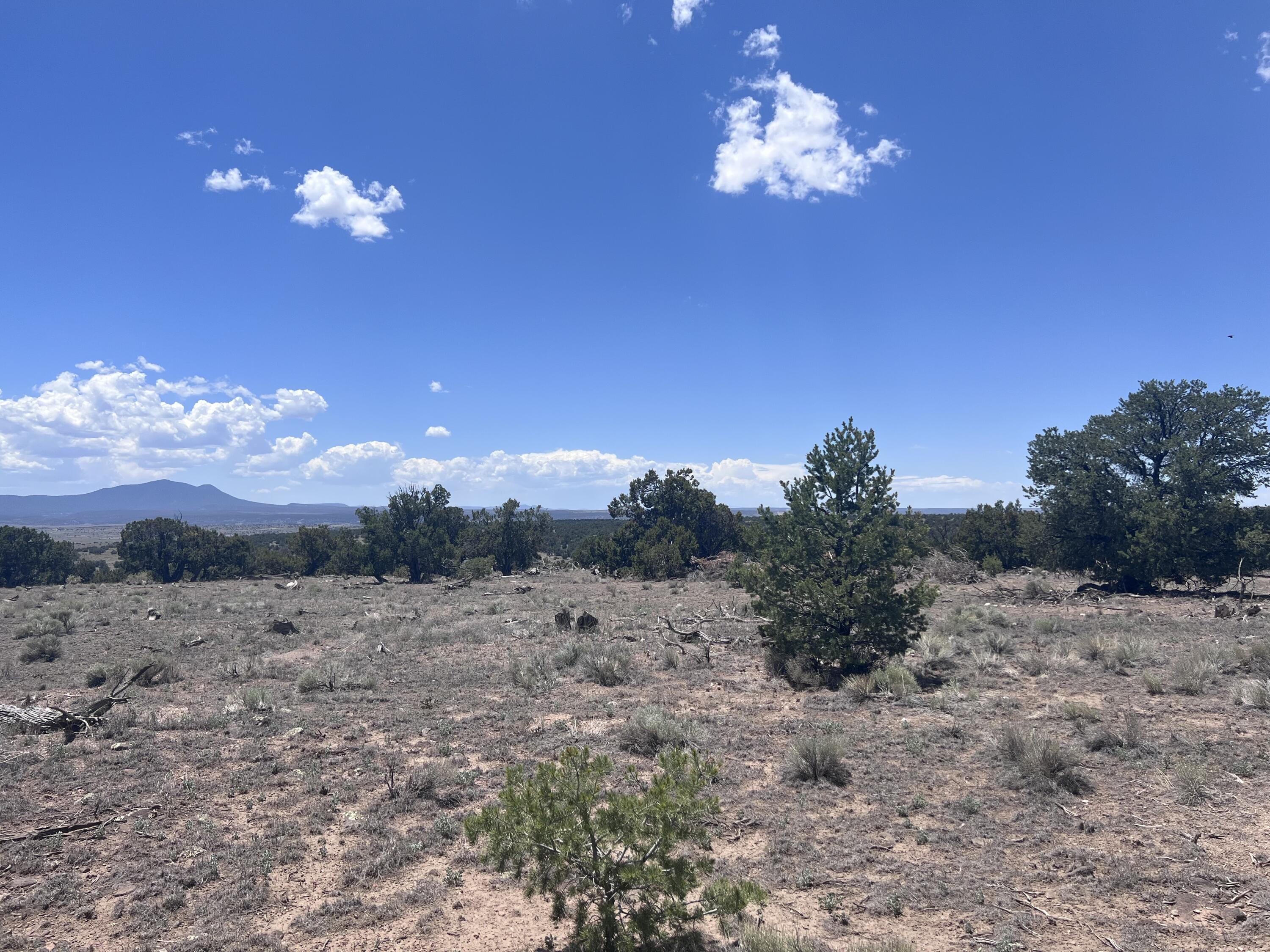 Photo 5 —  OMEGA Road LOT 24