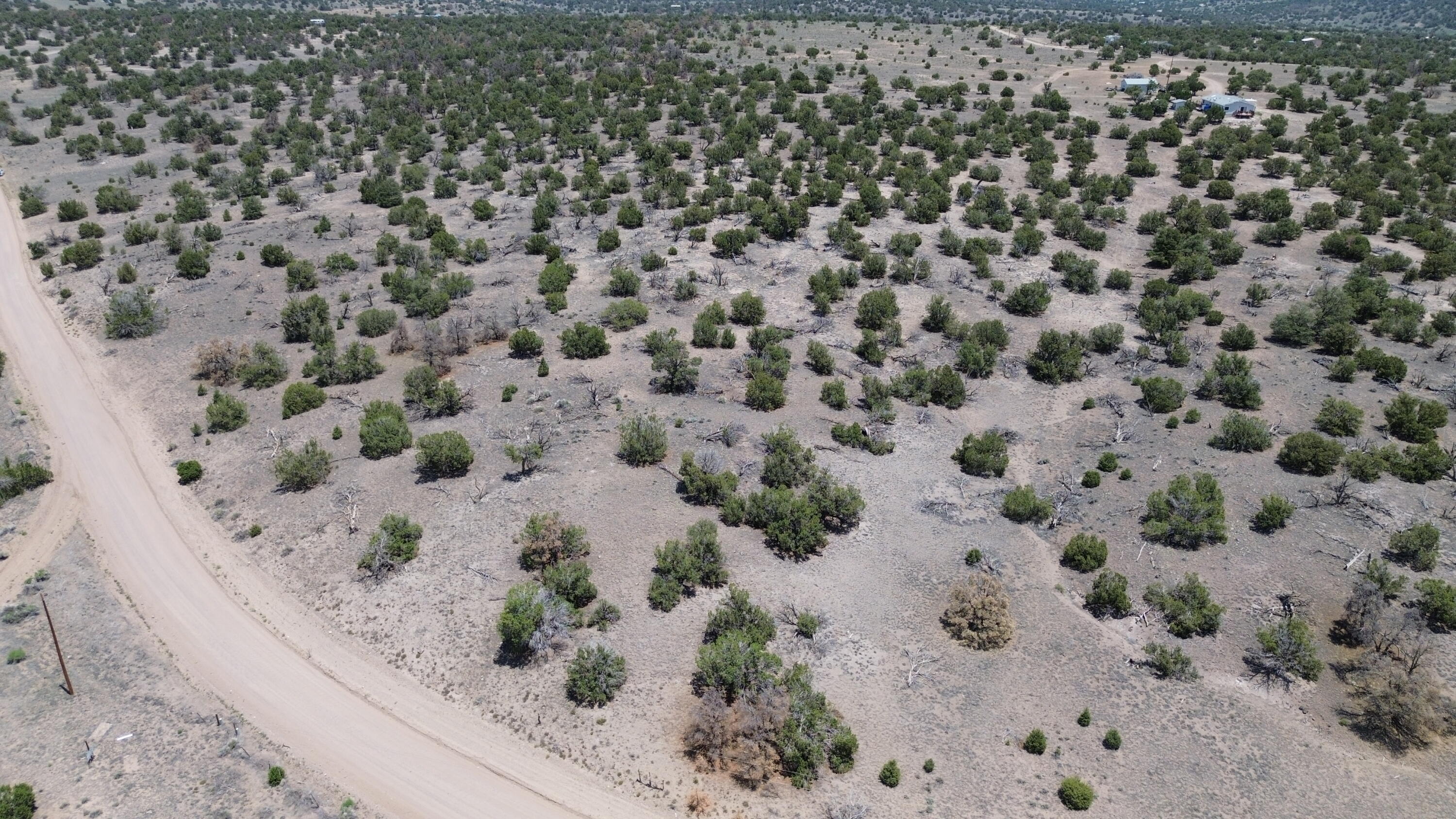 Photo 14 —  OMEGA Road LOT 24