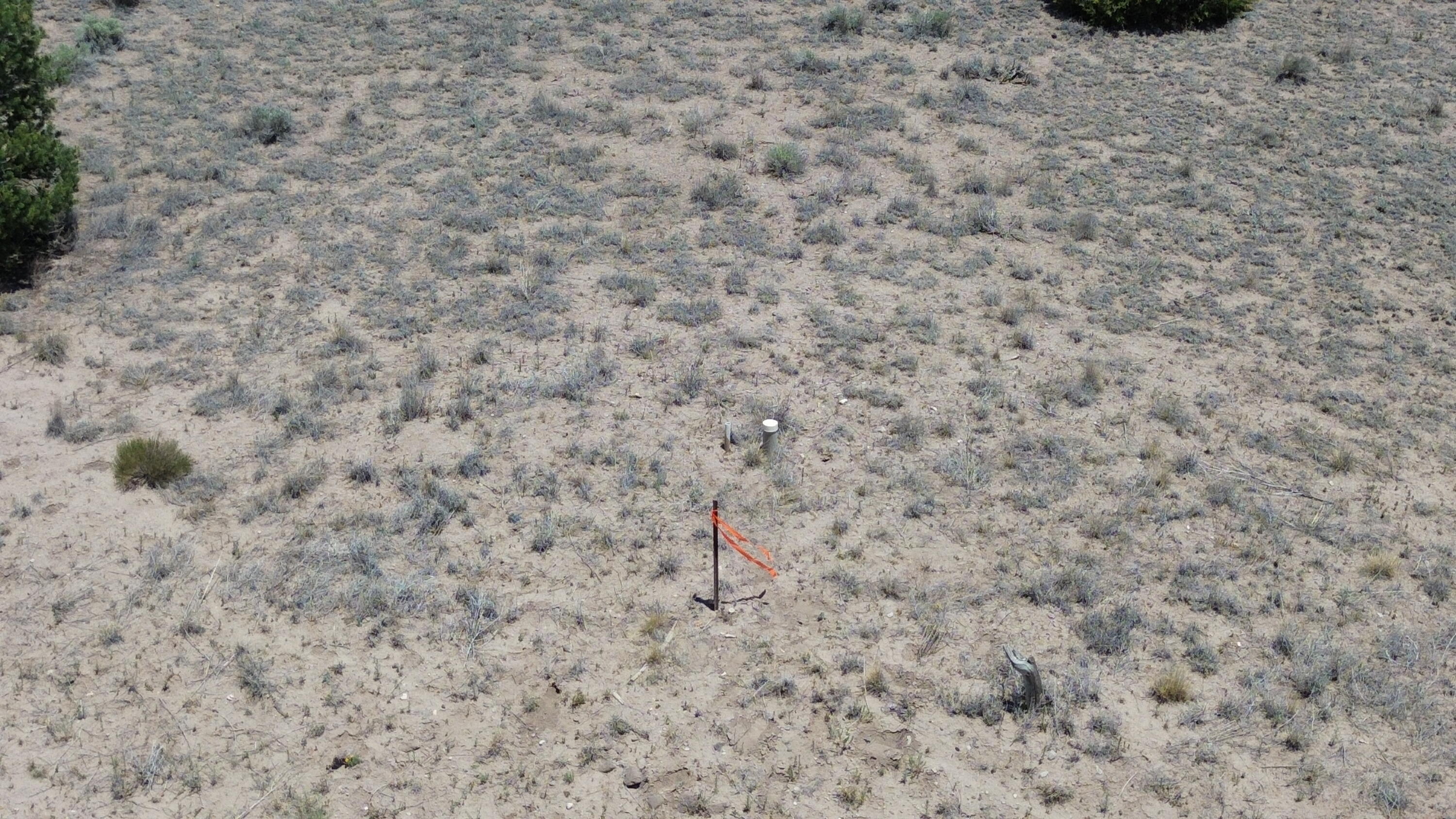 Photo 18 —  OMEGA Road LOT 24