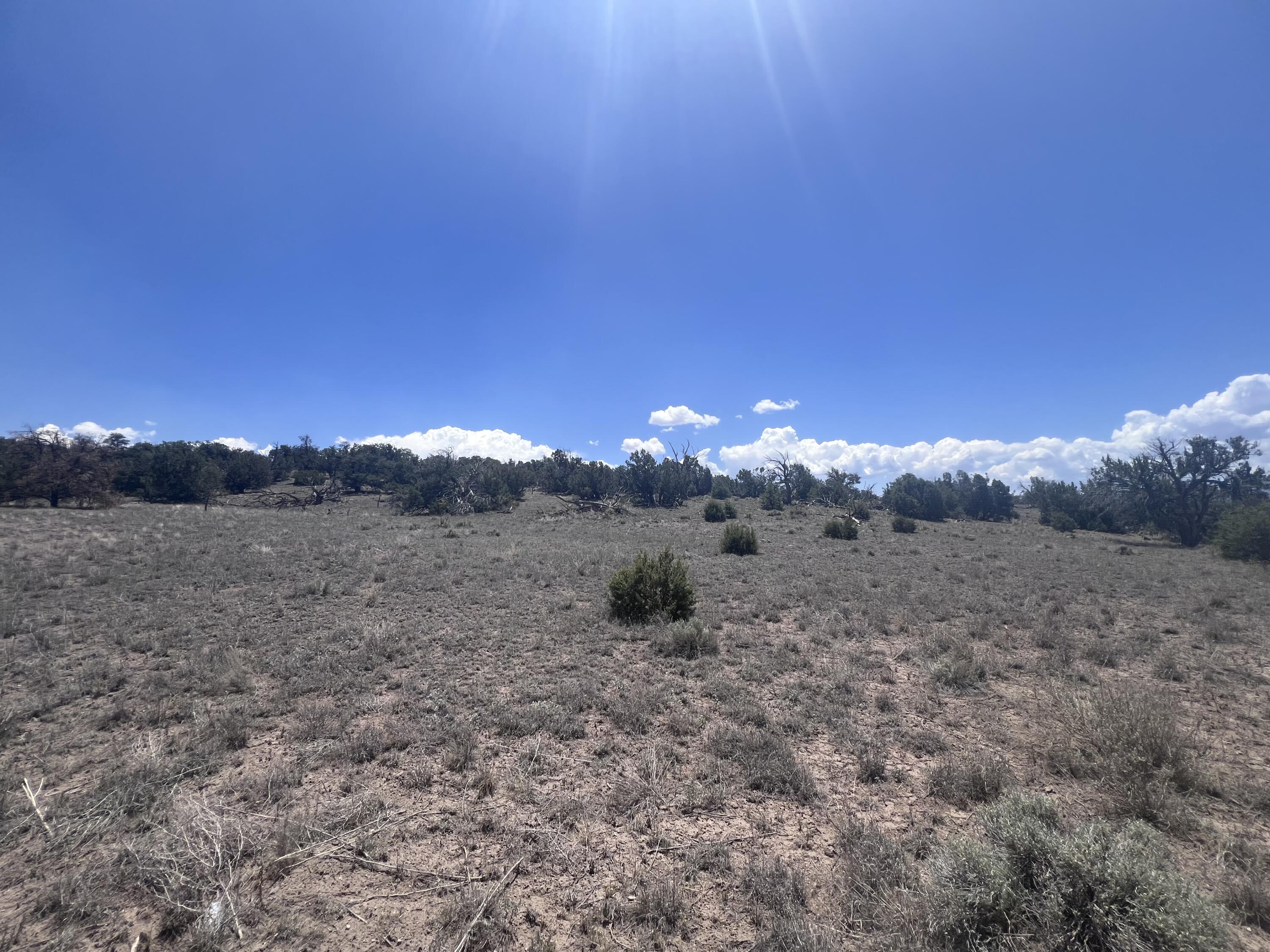 Photo 20 —  OMEGA Road LOT 24