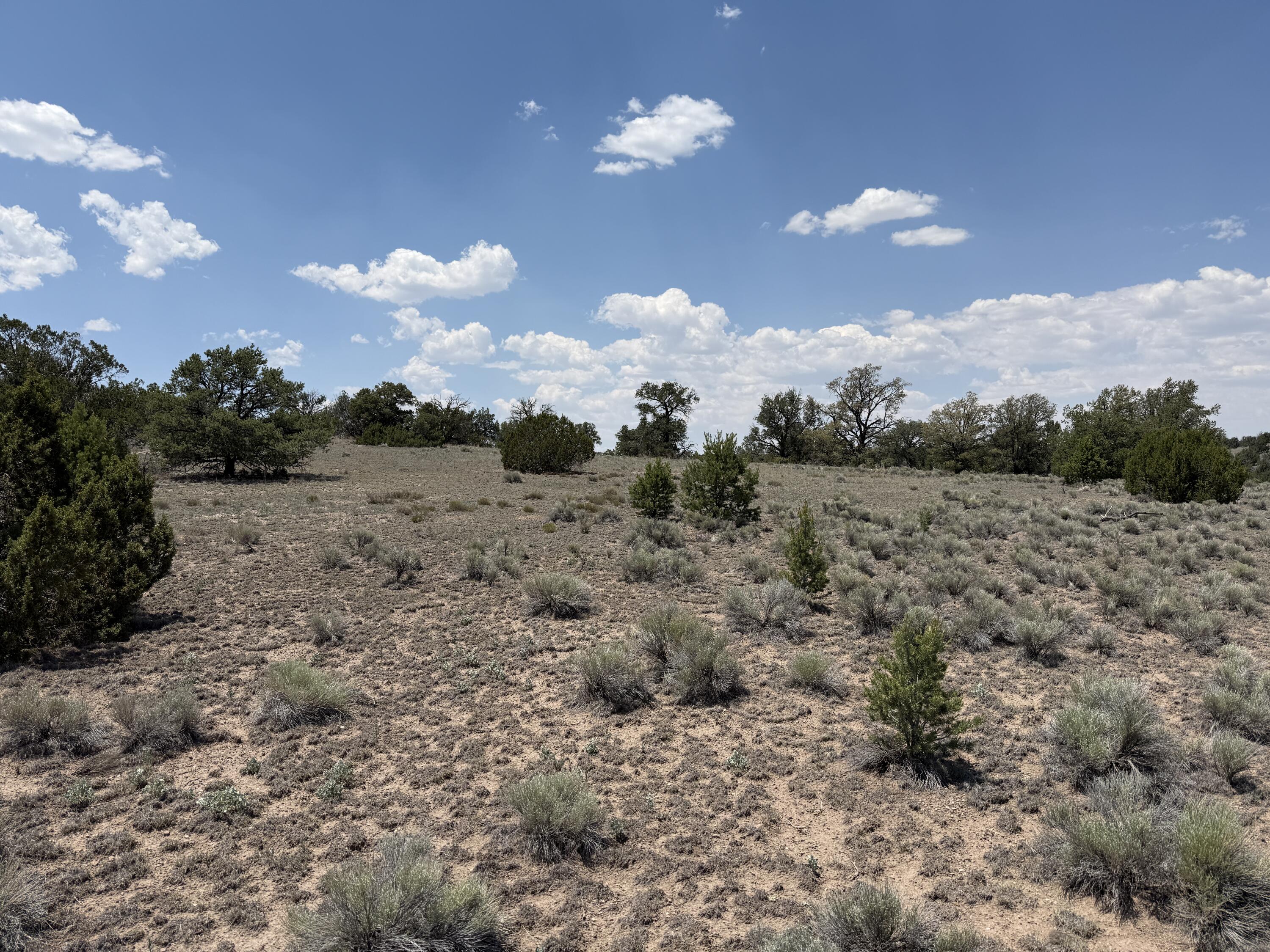 Photo 15 — LOT 8 HORSESHOE TRAIL
