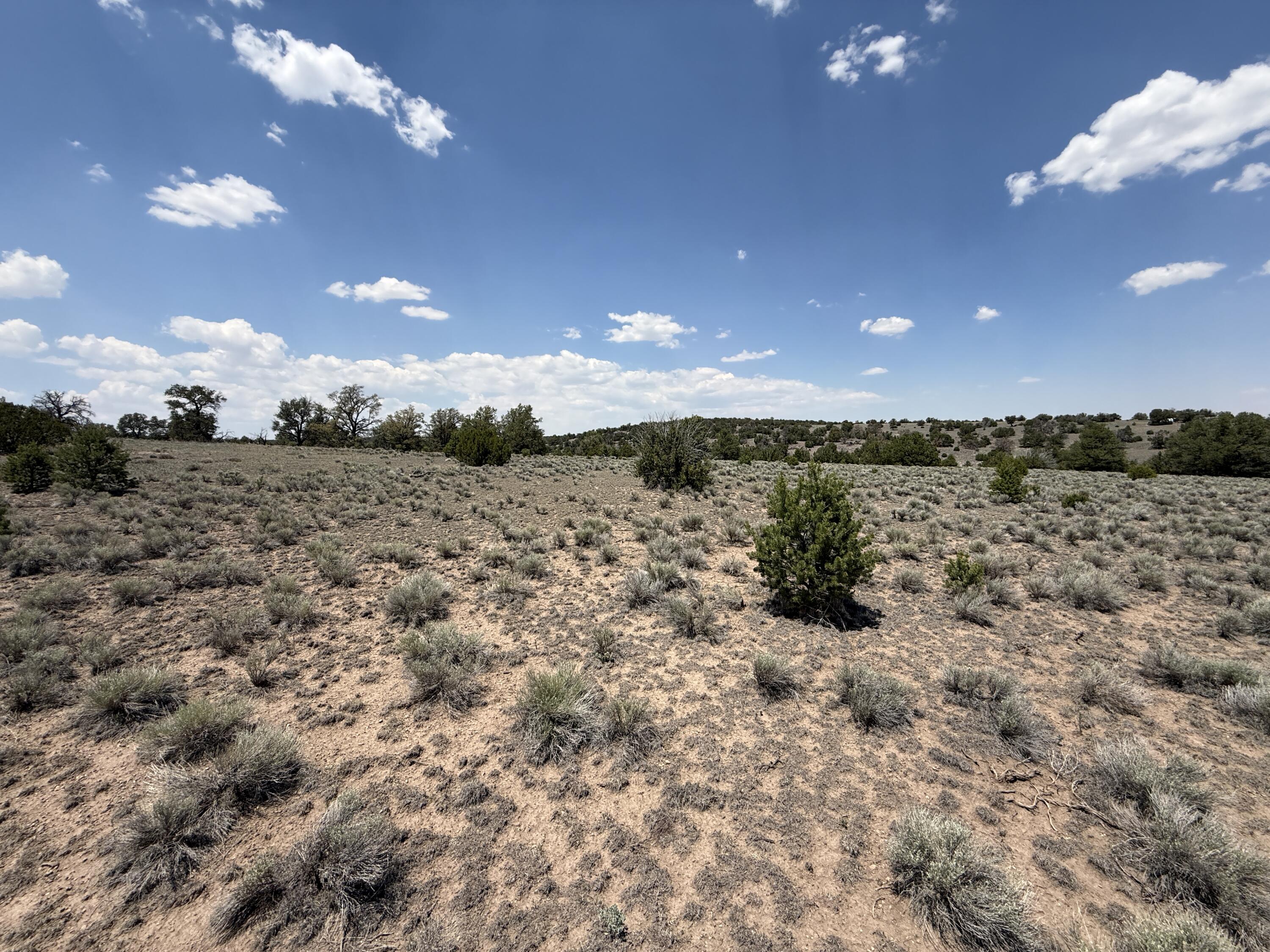 Photo 16 — LOT 8 HORSESHOE TRAIL