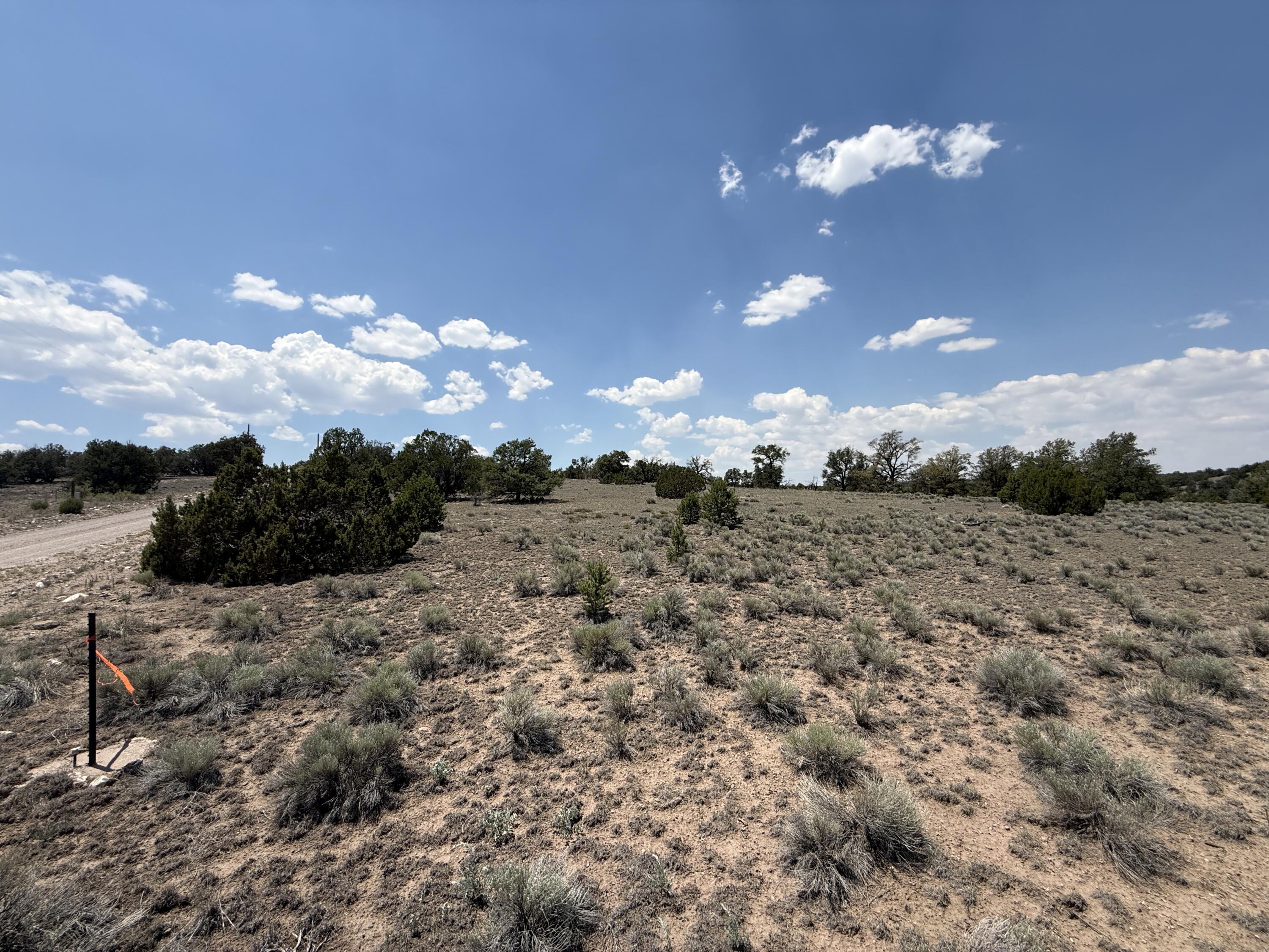 Photo 2 — LOT 8 HORSESHOE TRAIL