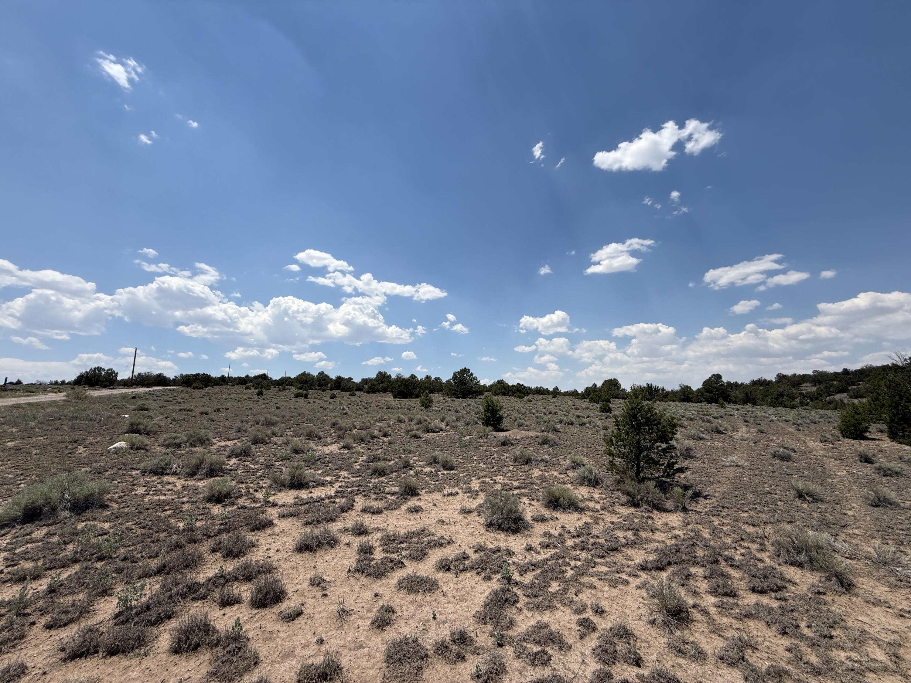Photo 3 — LOT 8 HORSESHOE TRAIL