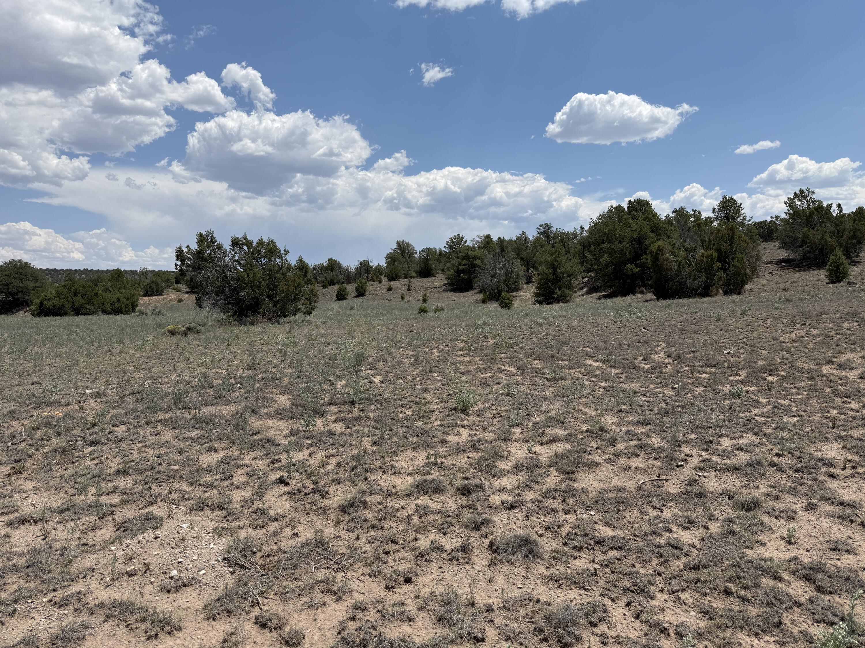 Photo 4 — LOT 8 HORSESHOE TRAIL