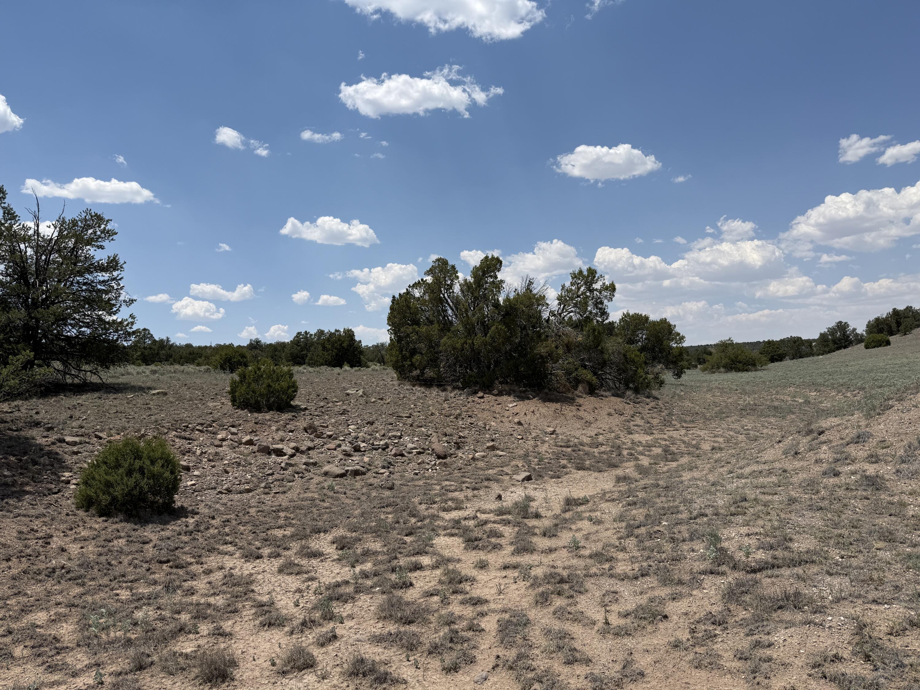 Photo 5 — LOT 8 HORSESHOE TRAIL
