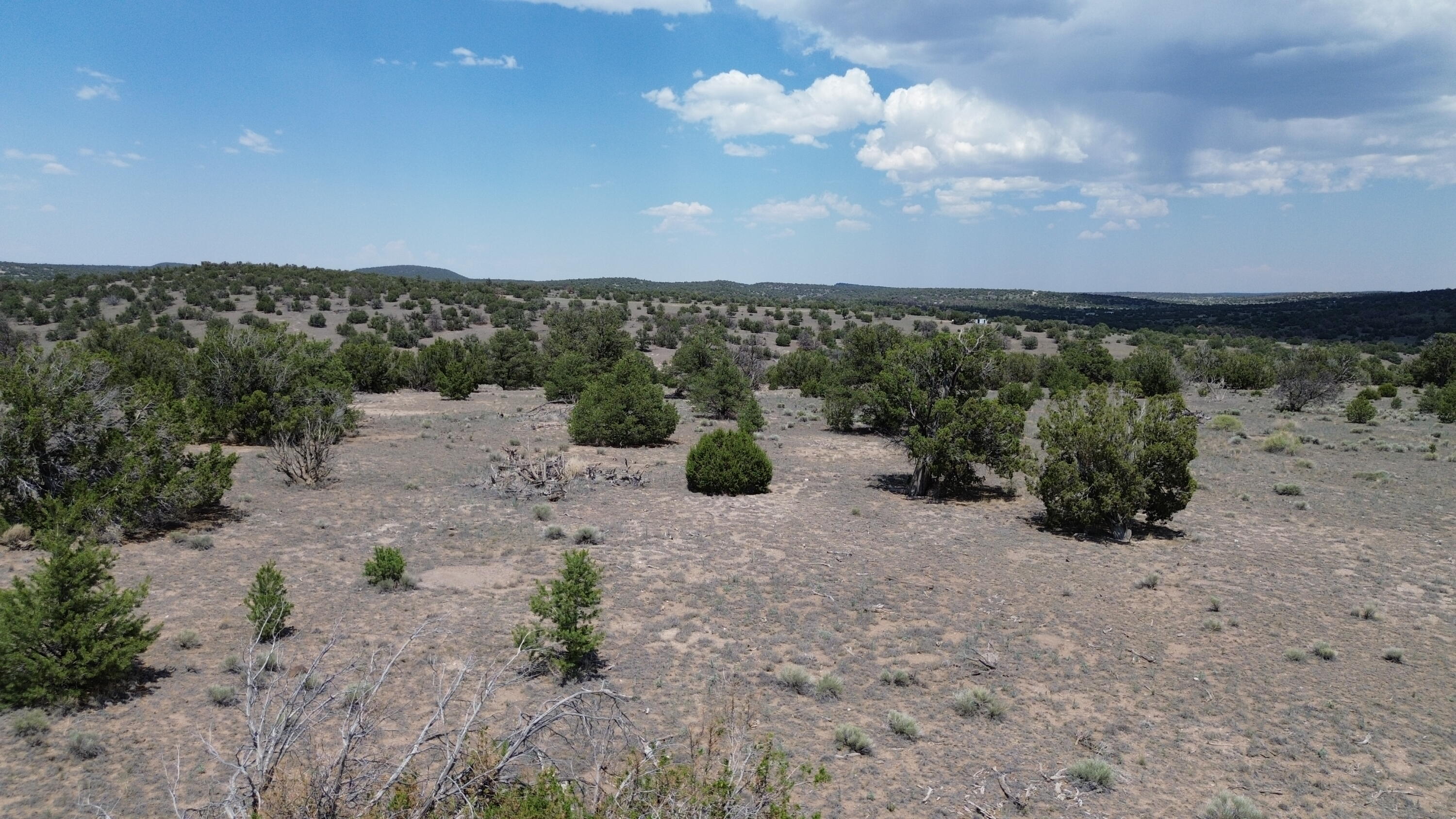Photo 18 — LOT 8 HORSESHOE TRAIL