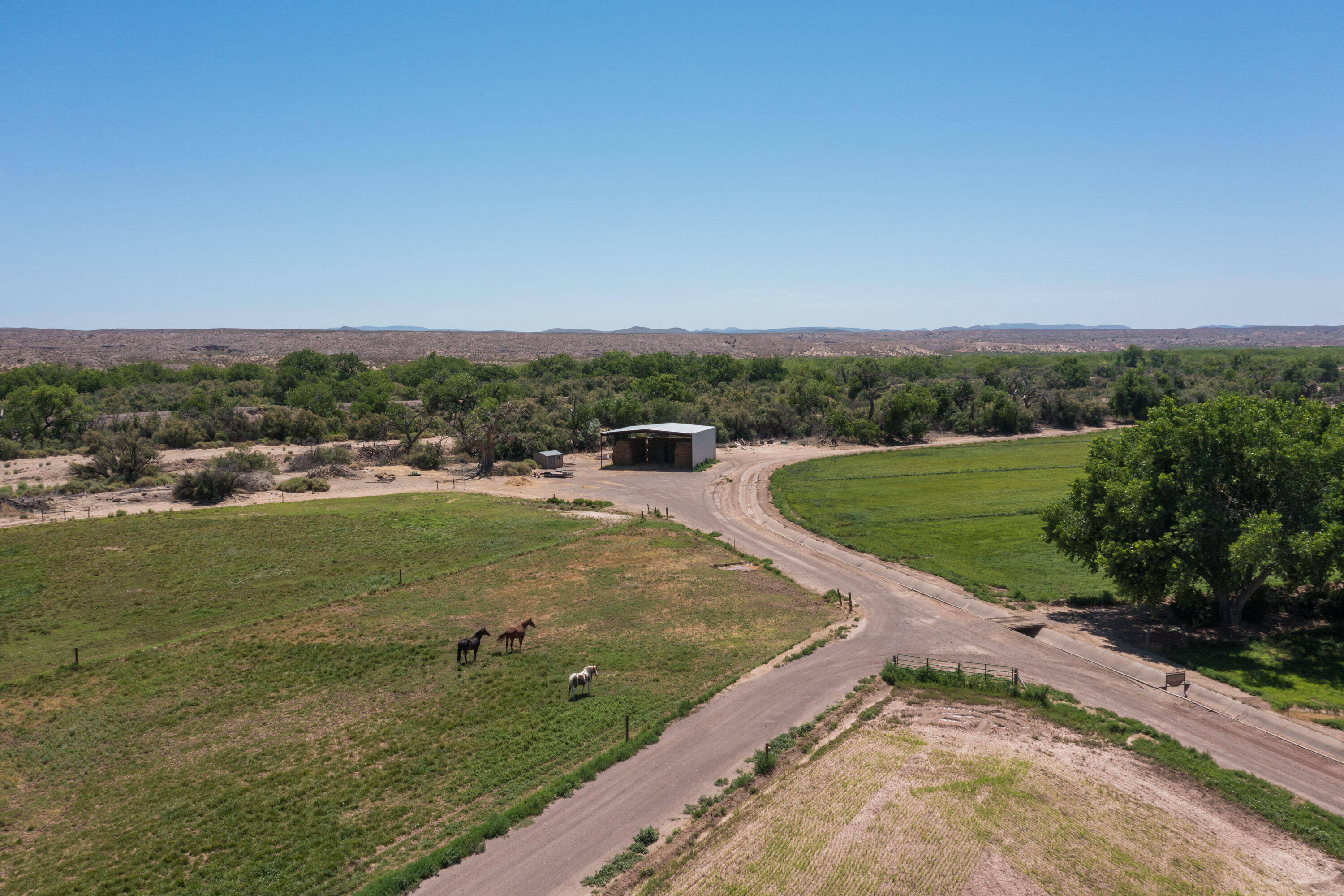 Photo 3 — 742 NM 408 Pembroke Farm