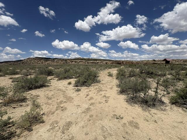 Photo 20 —  County Road 1