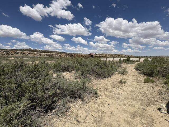 Photo 19 —  County Road 1