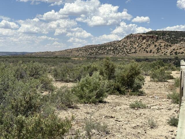 Photo 4 —  County Road 1